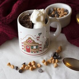 Double Chocolate Mug cake is wonderful for a chilly evening!