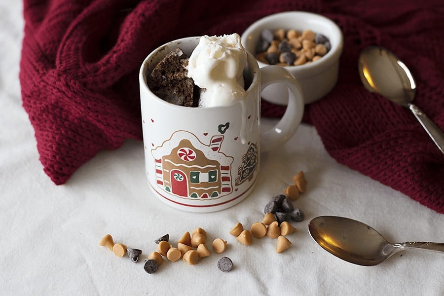 Double Chocolate Mug cake is wonderful for a chilly evening!