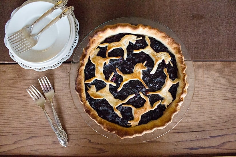 This is best ever unicorn blueberry pie, drip free and with a flaky crust! An extra step makes the filling so silky and nice! 