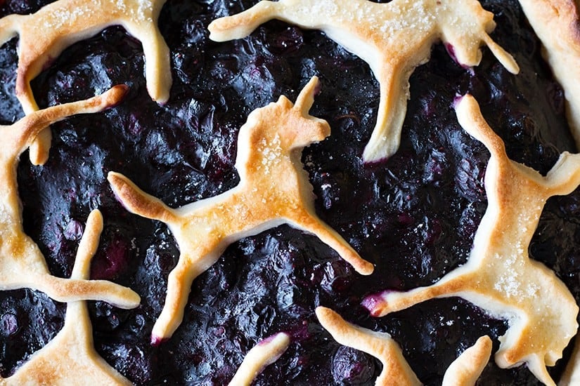 This is best ever unicorn blueberry pie, drip free and with a flaky crust! An extra step makes the filling so silky and nice! 