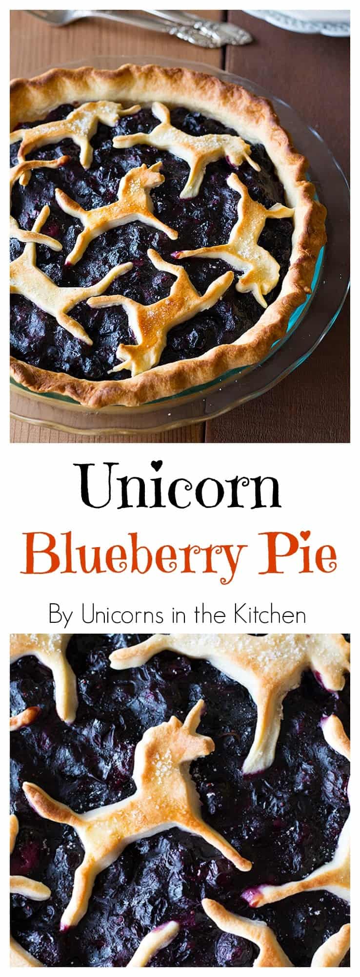 This is best ever unicorn blueberry pie, drip free and with a flaky crust! An extra step makes the filling so silky and nice!