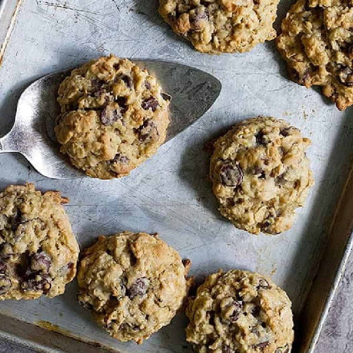 The Best Oatmeal Chocolate Chip Cookies