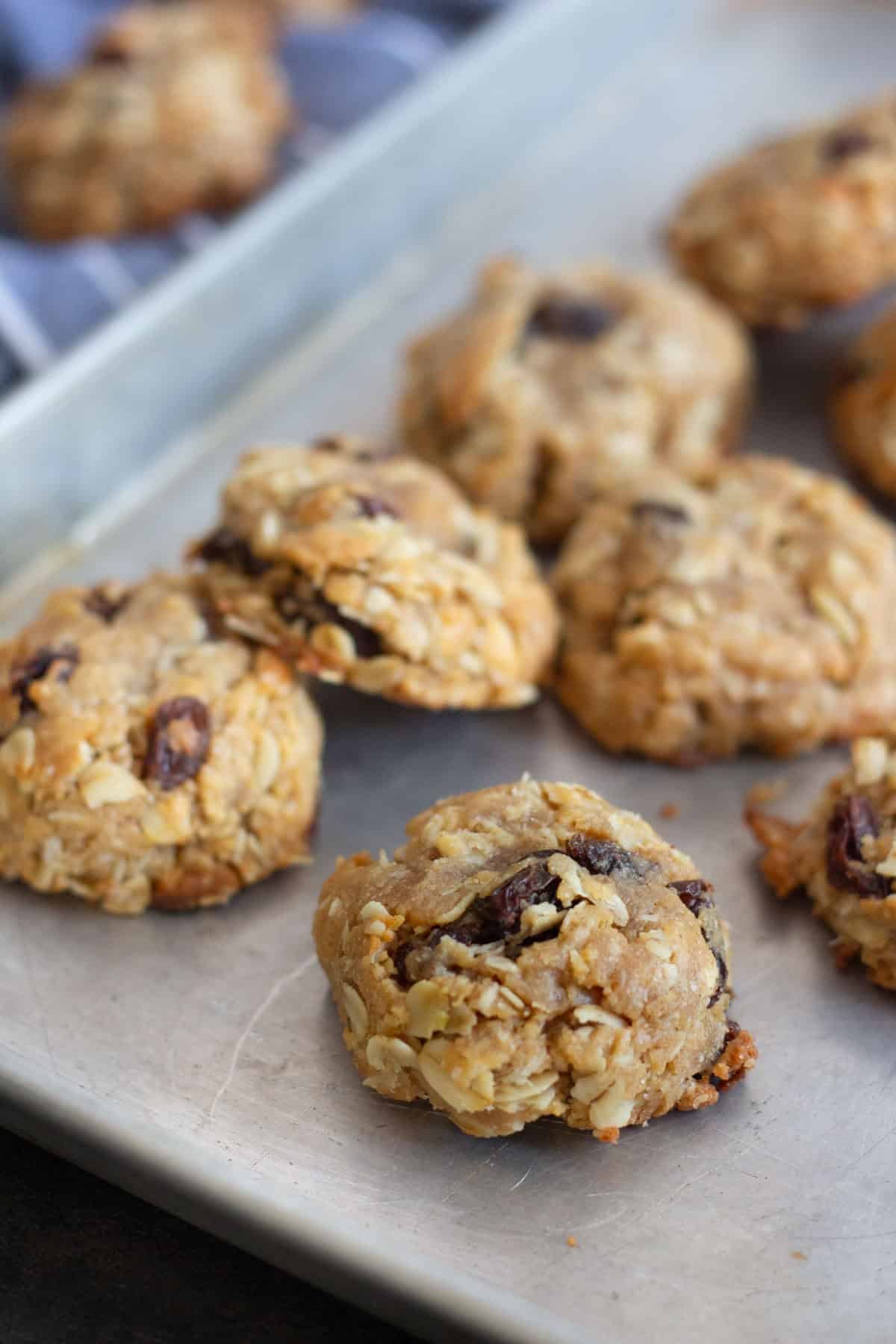 Peanut Butter Cookies with raisins on a baking sheet.