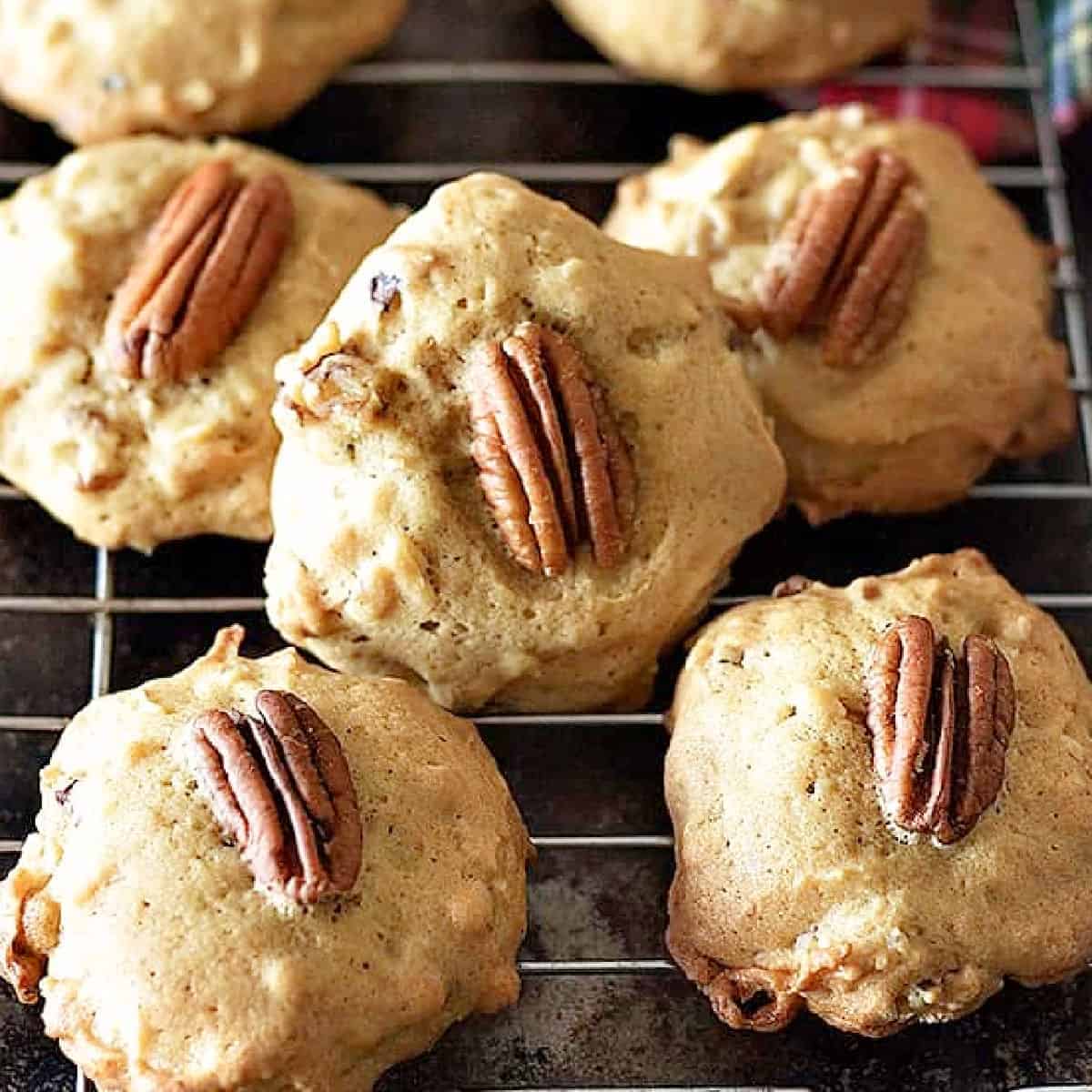 These pecan cookies are ready in 30 minutes and are flavored with coconut and pecan pieces. It's a family favorite and everyone loves it!

