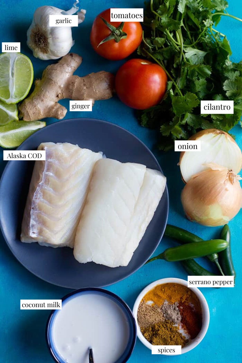 Easy Fish Curry with Alaska Cod • Unicorns in the Kitchen