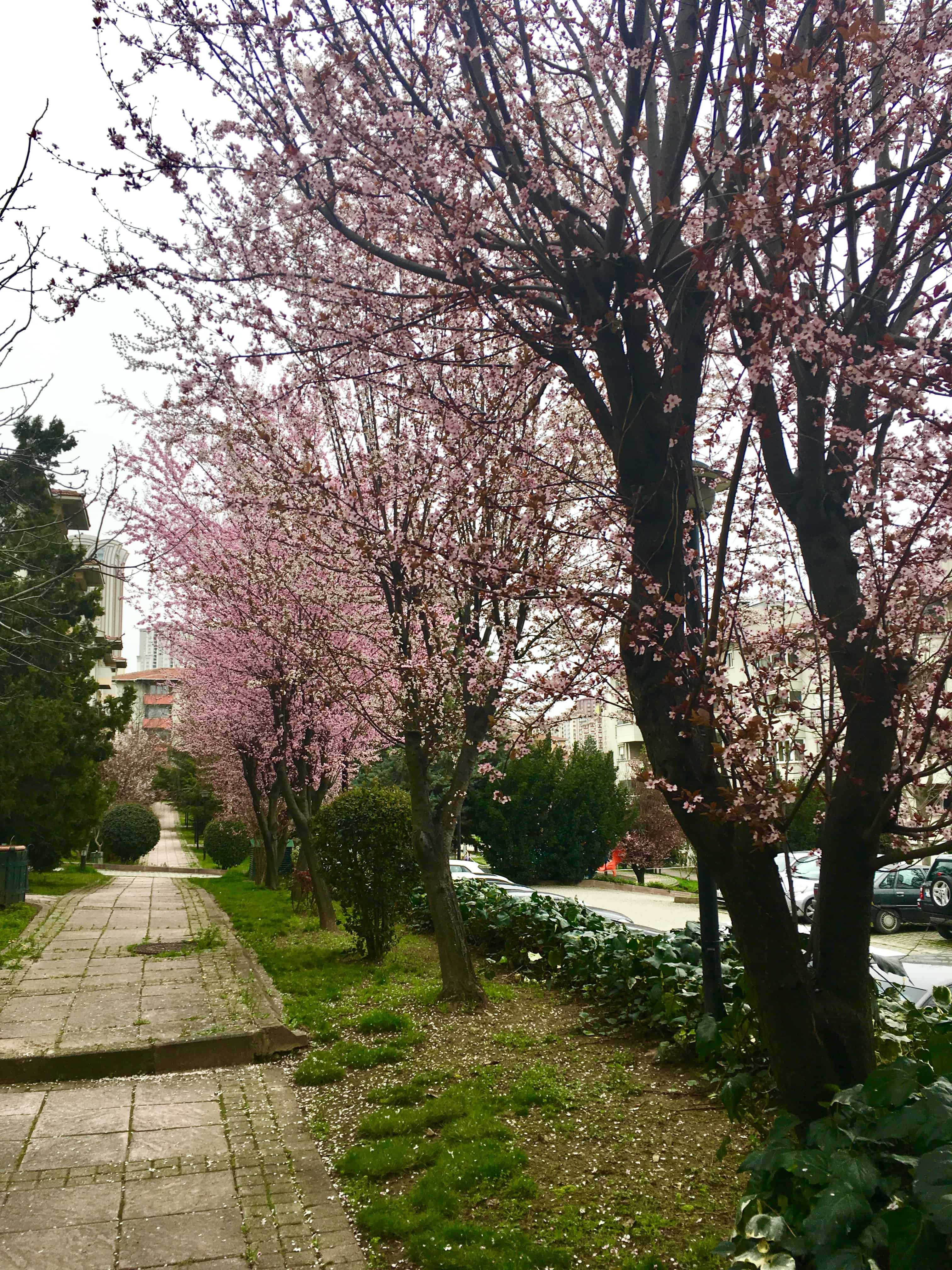 Persian new year starts on the first day of spring.