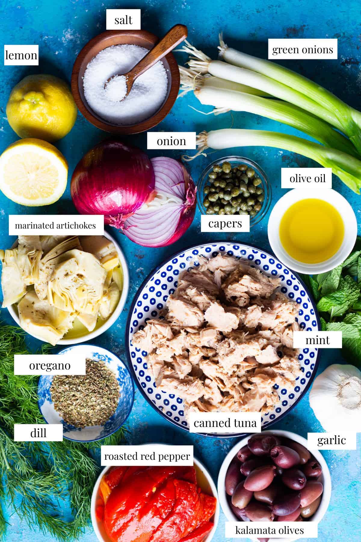 Ingredient shot: tuna, onion, artichokes, herbs, peppers and capers. 