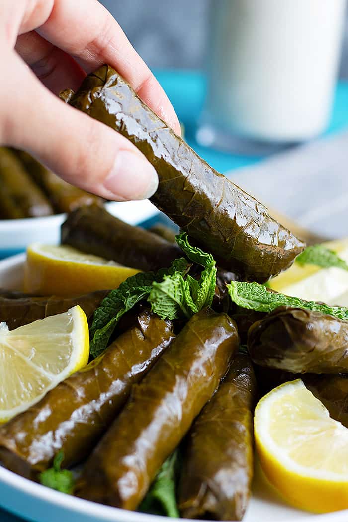 Authentic Dolma Recipe (Stuffed Grape Leaves) • Unicorns in the Kitchen