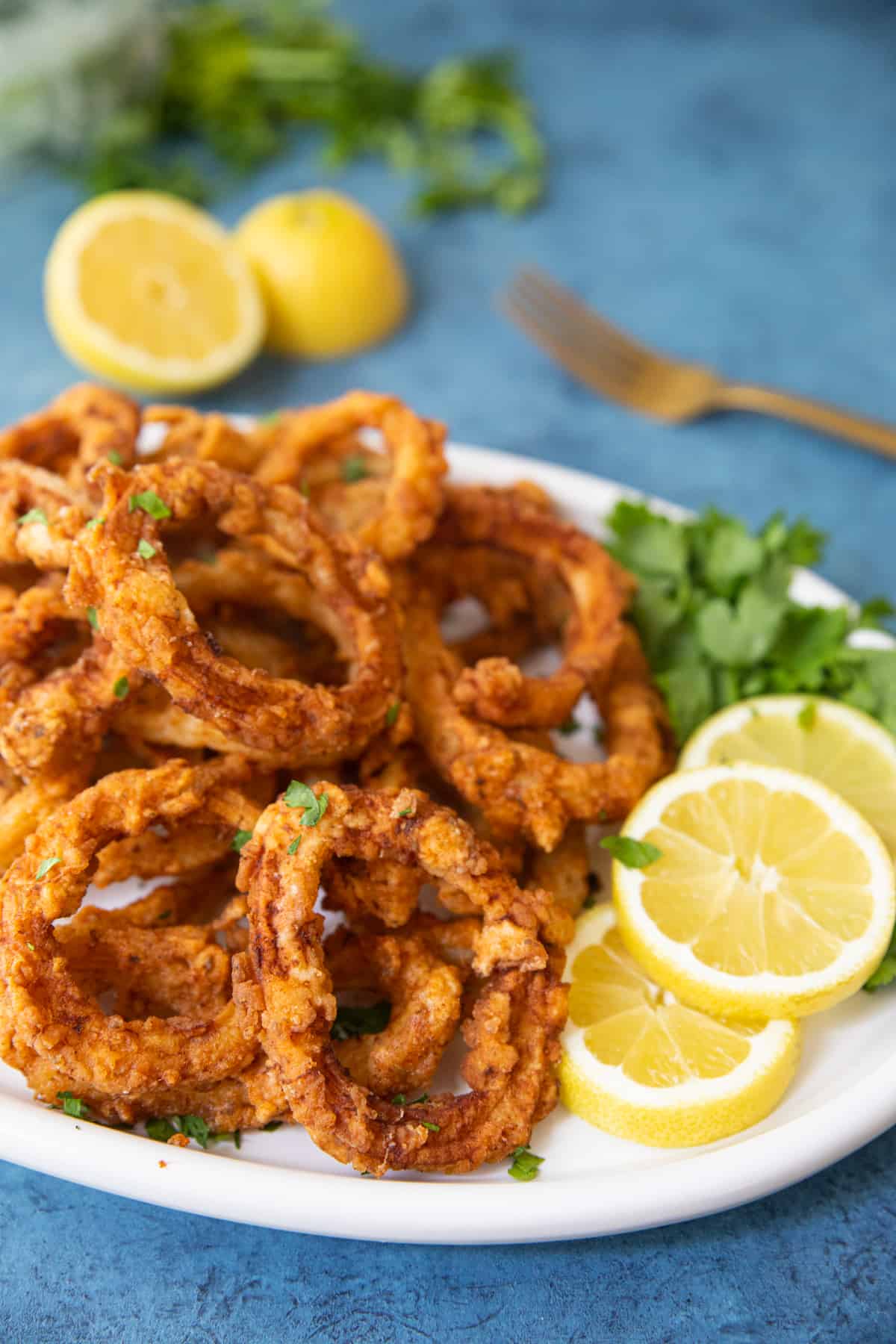 Front shot of crispy fried calamari on a plate. 