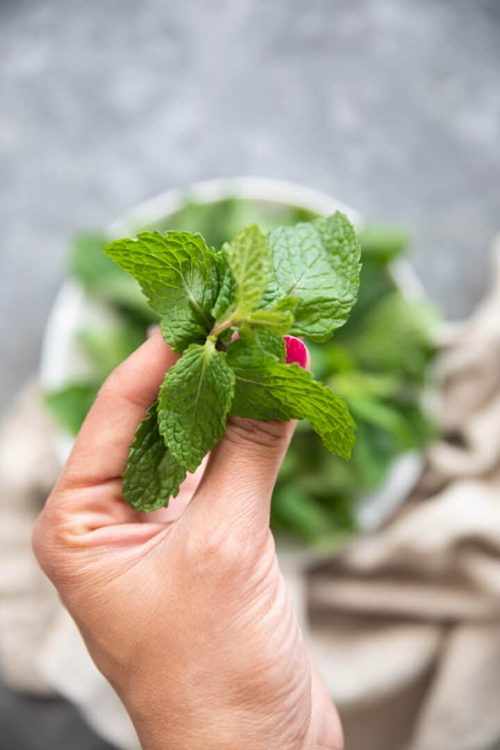 Normal Mint Everything You Need To Know About Mint • Unicorns in the Kitchen