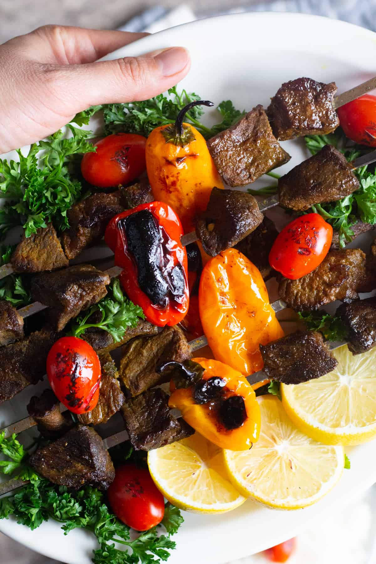 Beef shish kabob. 