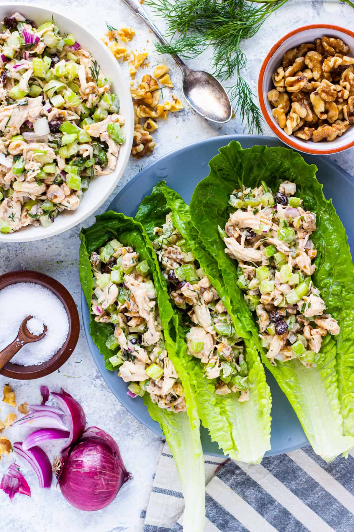 Healthy chicken salad served with lettuce. 