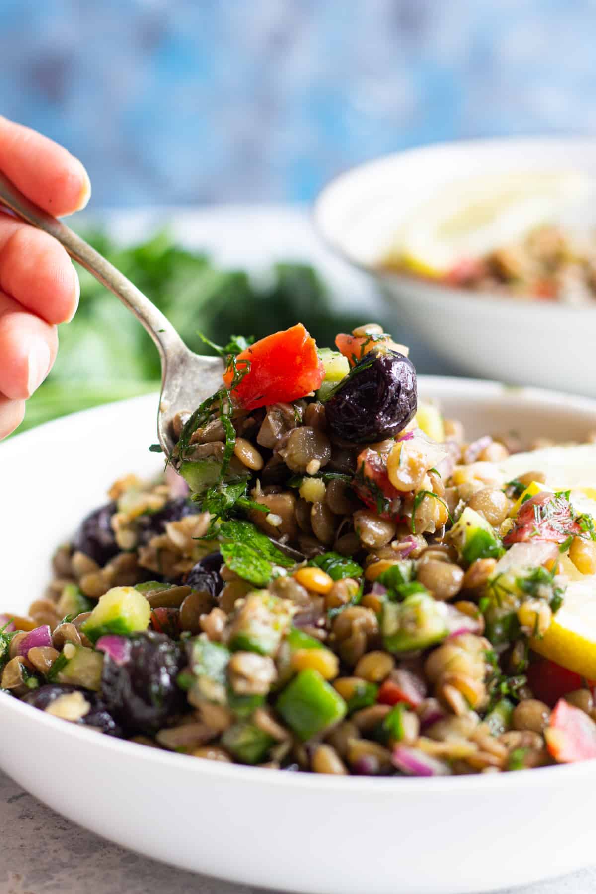 An easy cold salad made with lentils that you can have as a light lunch as well. 