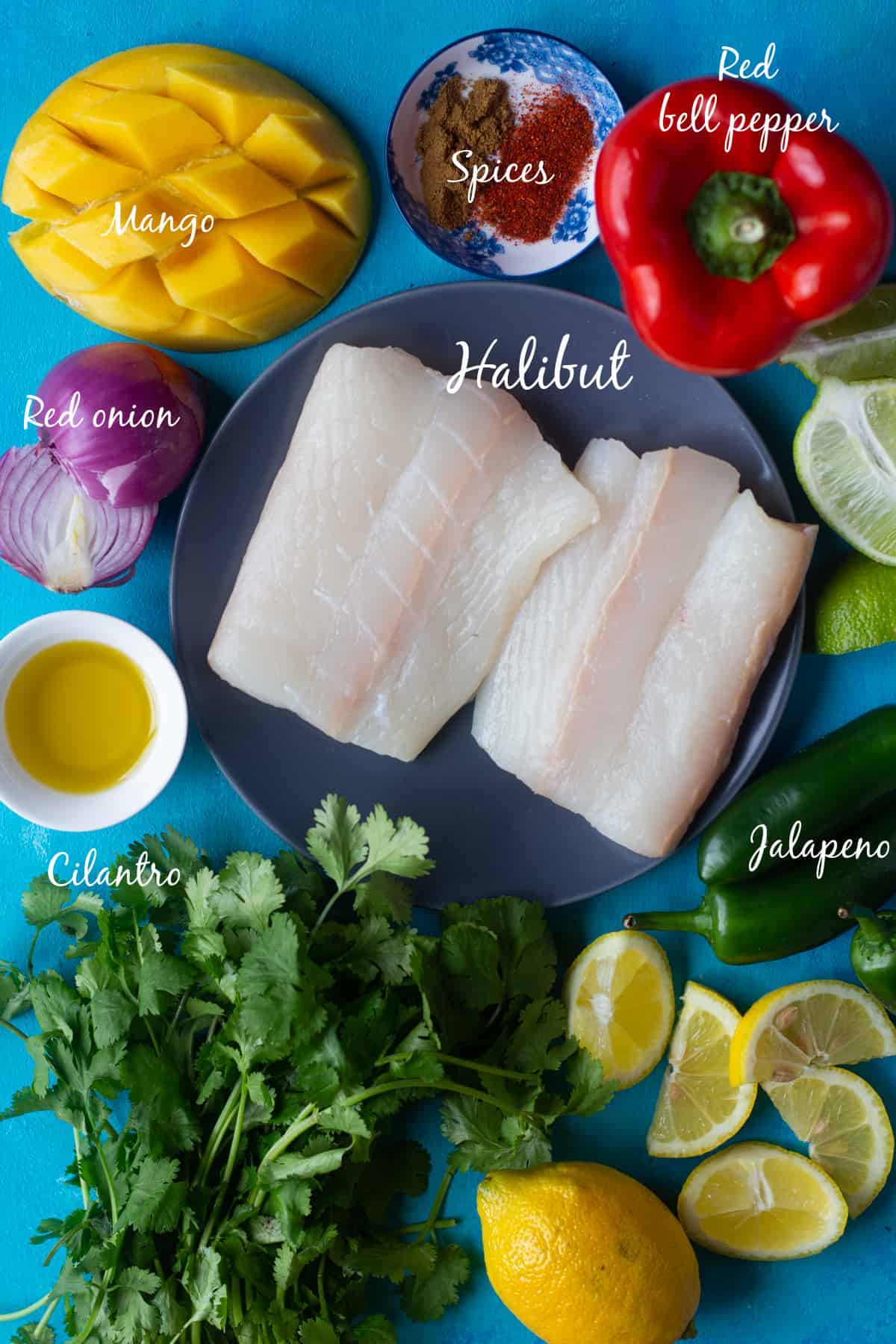 For this recipe you need halibut, spices, mango, red onion, lime, cilantro and salt.