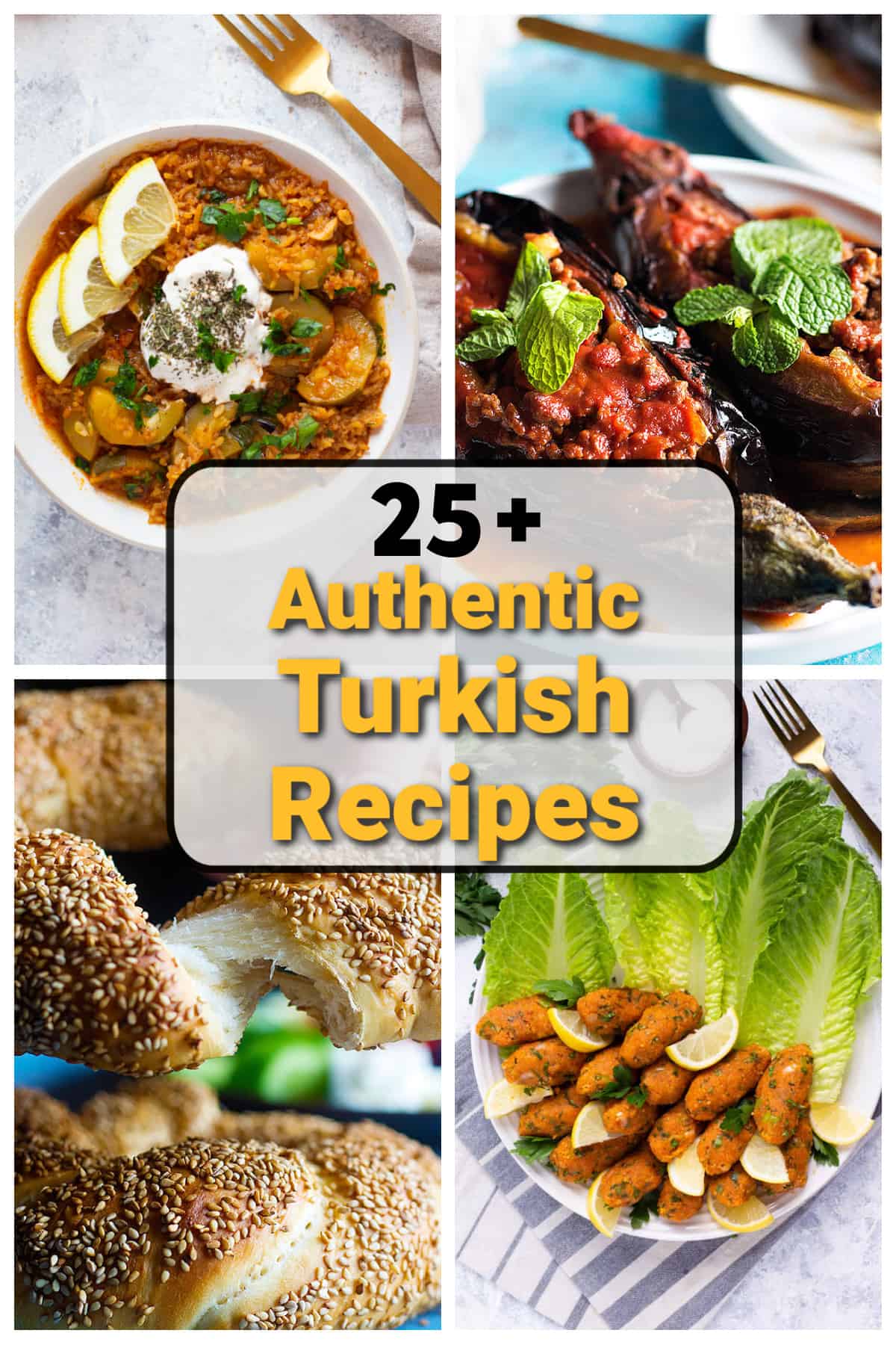 Check out our delicious Turkish recipes! From breakfast to appetizers and main dishes, we've got you covered. These are healthy recipes and many of them are also vegetarian. 