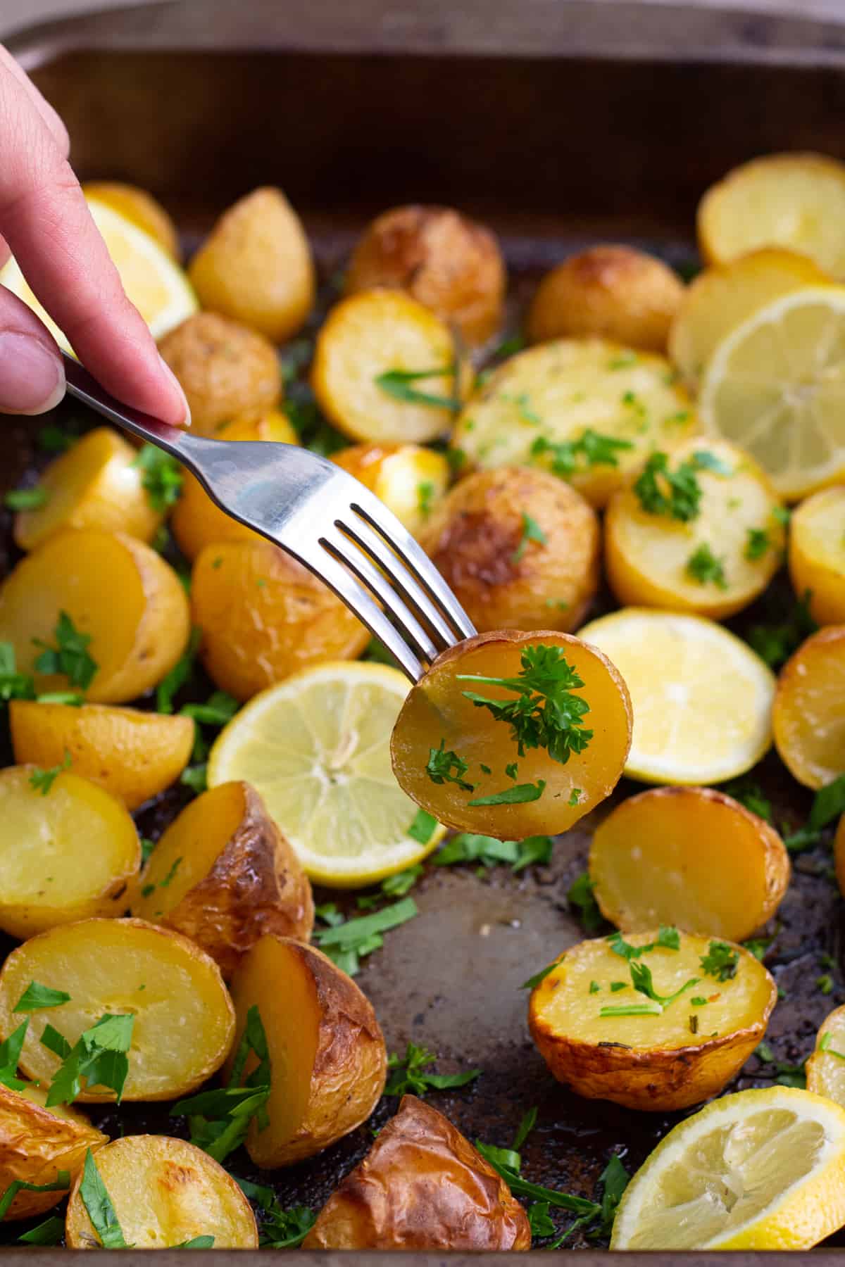These Greek potatoes are probably going to be the best roasted potatoes you've ever had. Give roasted potatoes a Mediterranean twist by making them Greek style with garlic, herbs and lots of lemon!
