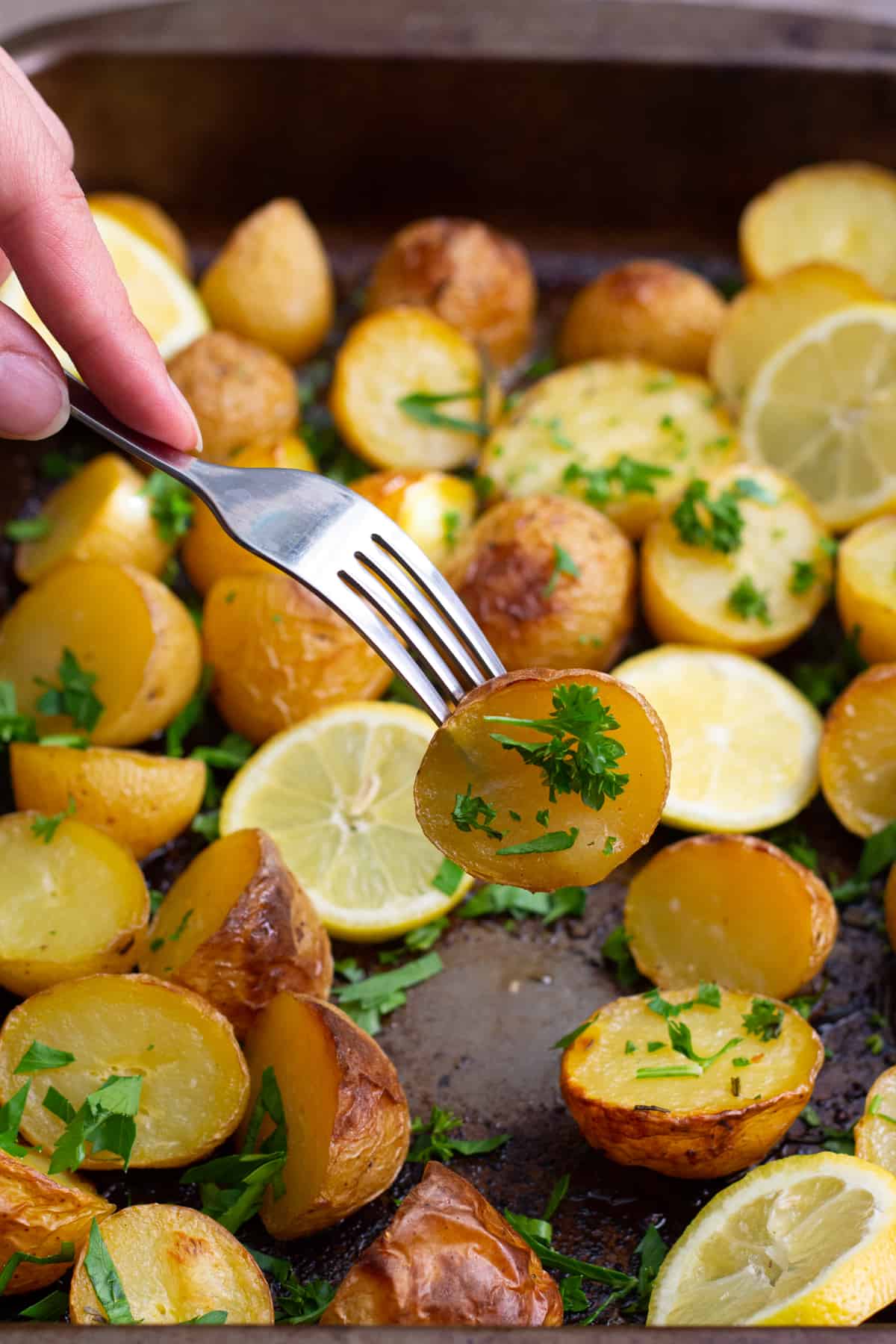 Greek potatoes are the best side dish for different proteins. They are tangy and very tasty!