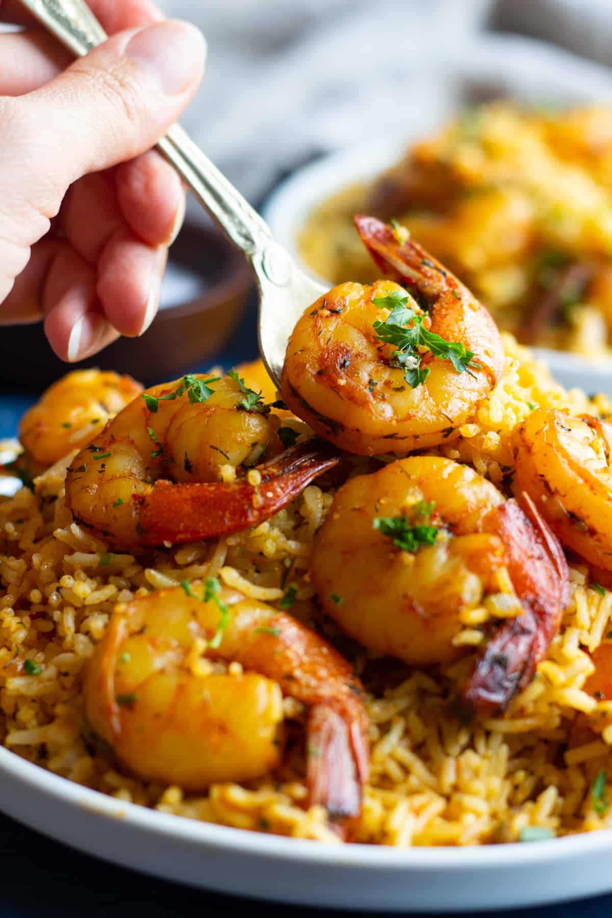 Cooked shrimp on spiced rice Persian style