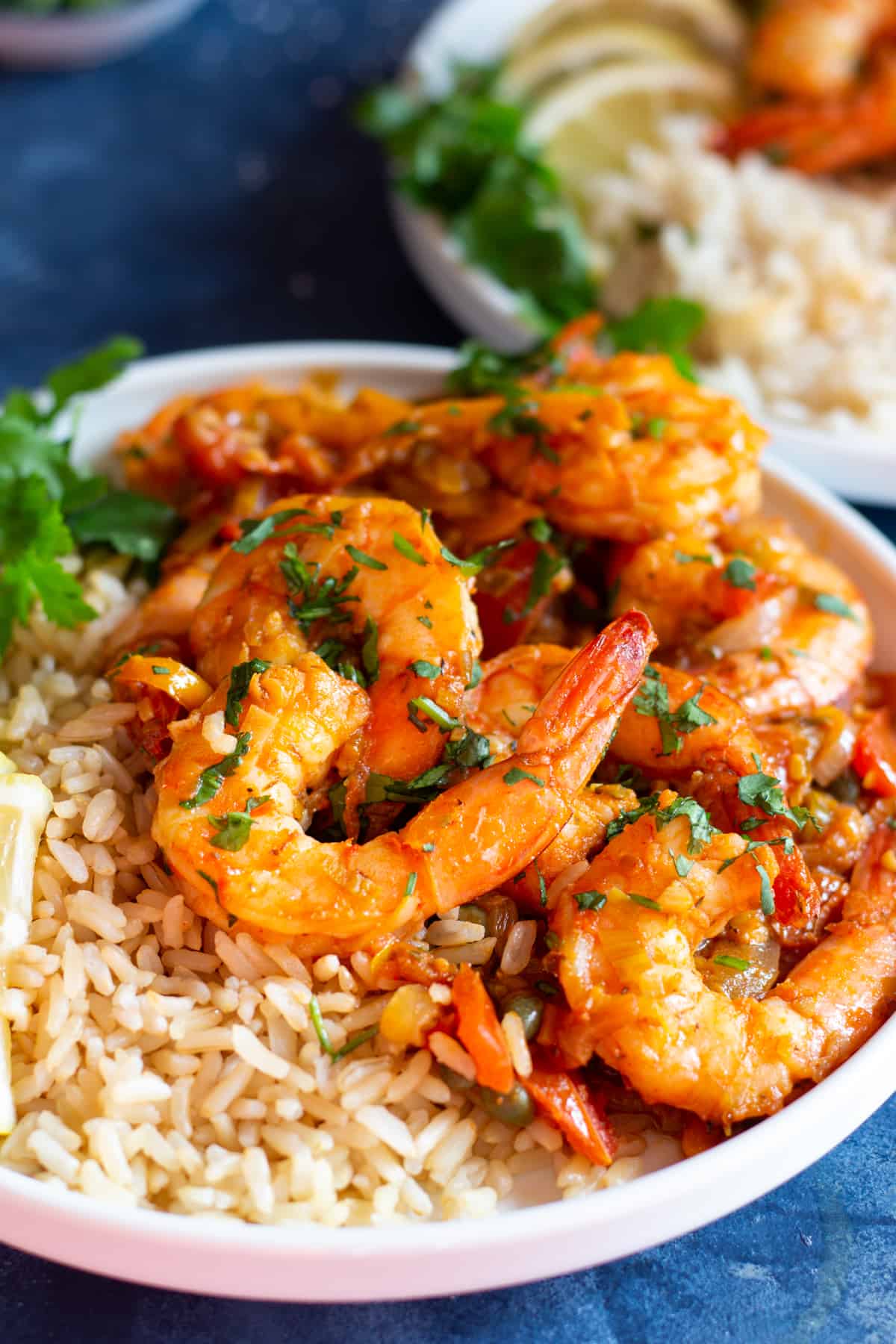 Close up Mediterranean shrimp with brown rice.
