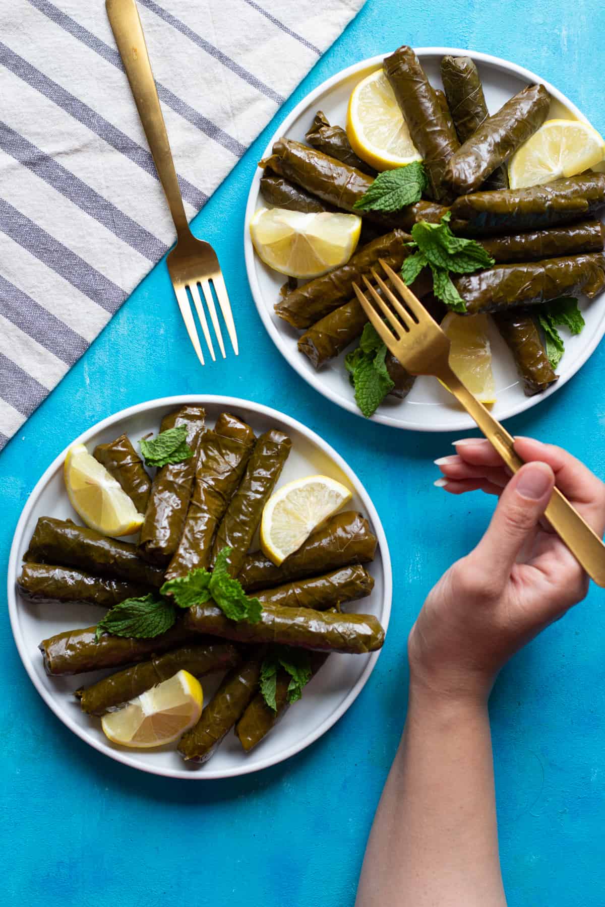 Stuffed grape leaves are also known and dolmades or dolmas. 