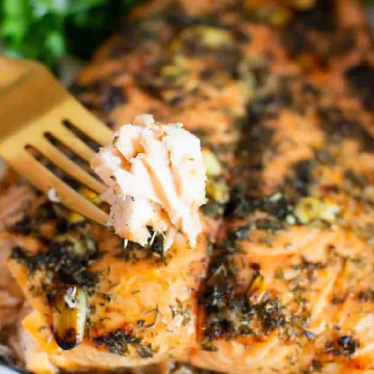 marinated salmon