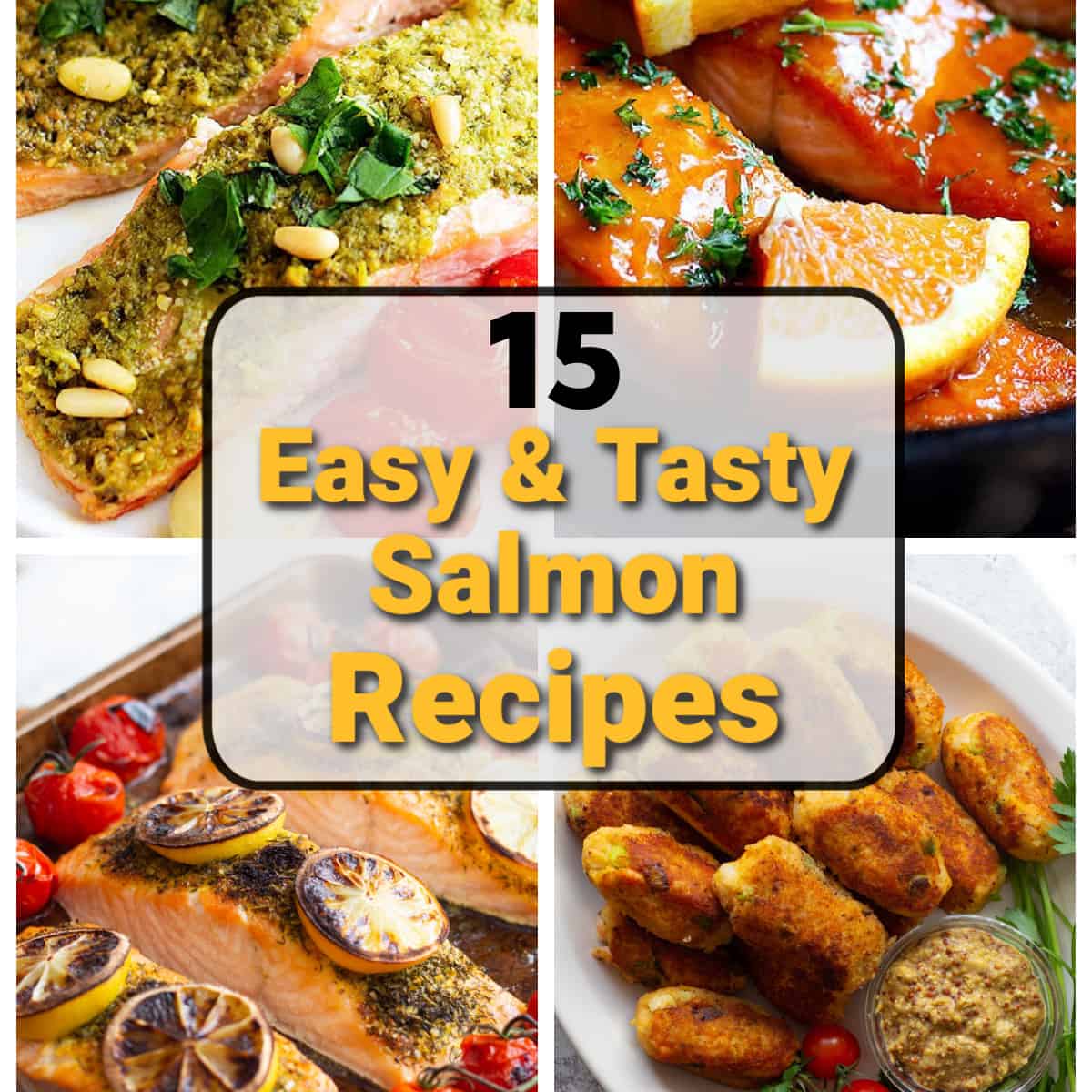Best Salmon Recipes