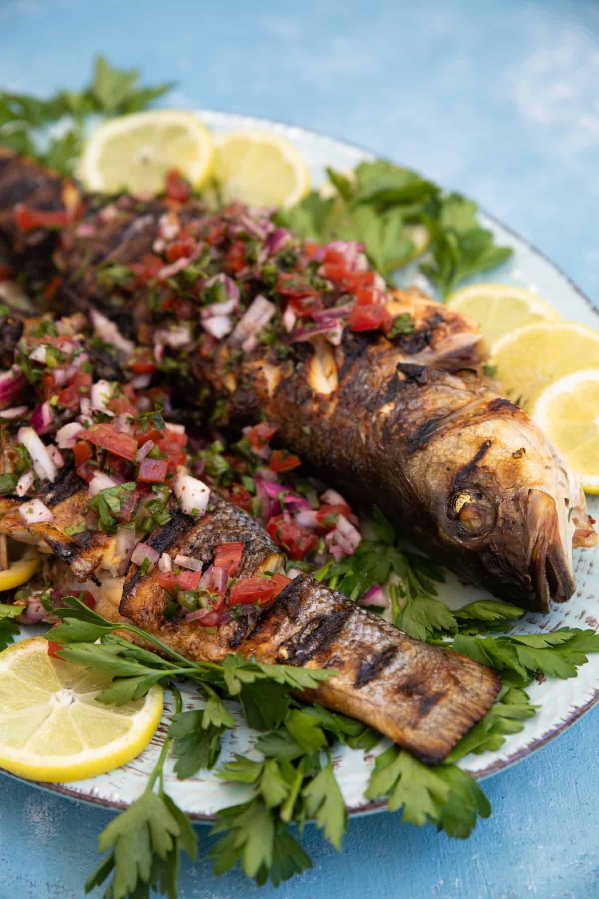 close up shot of grilled branzino with tomato herb relish. 