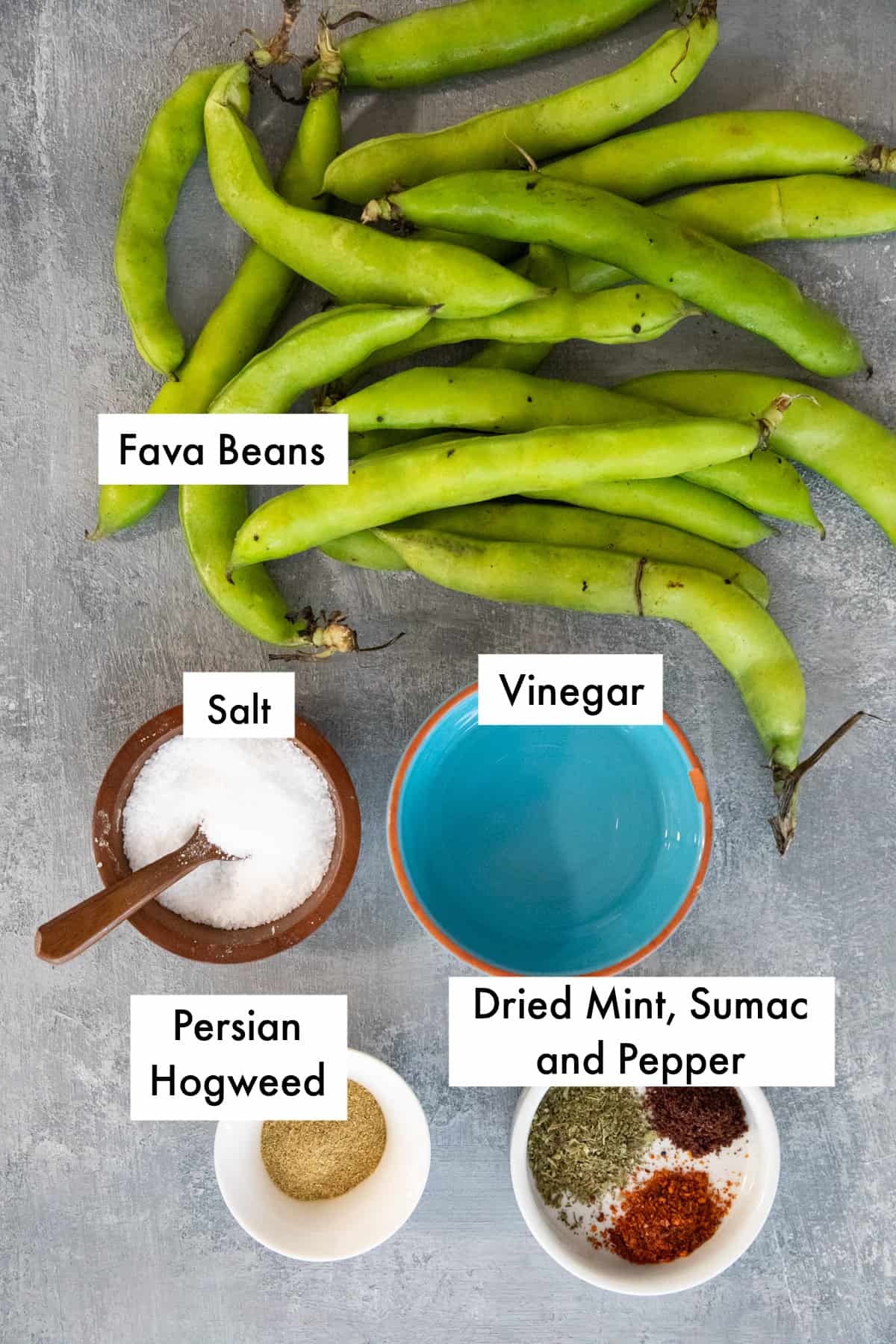 To make Persian fava beans recipe you need the beans, salt, vinegar and spices. 