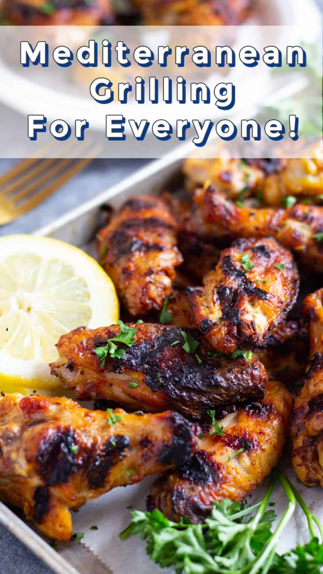 If you're tired of grilling burgers and hotdogs, I've got good news for you. The Mediterranean Grilling eCookbook is here to show you how to grill delicious food from fish and seafood to chicken and vegetables with amazing flavors.