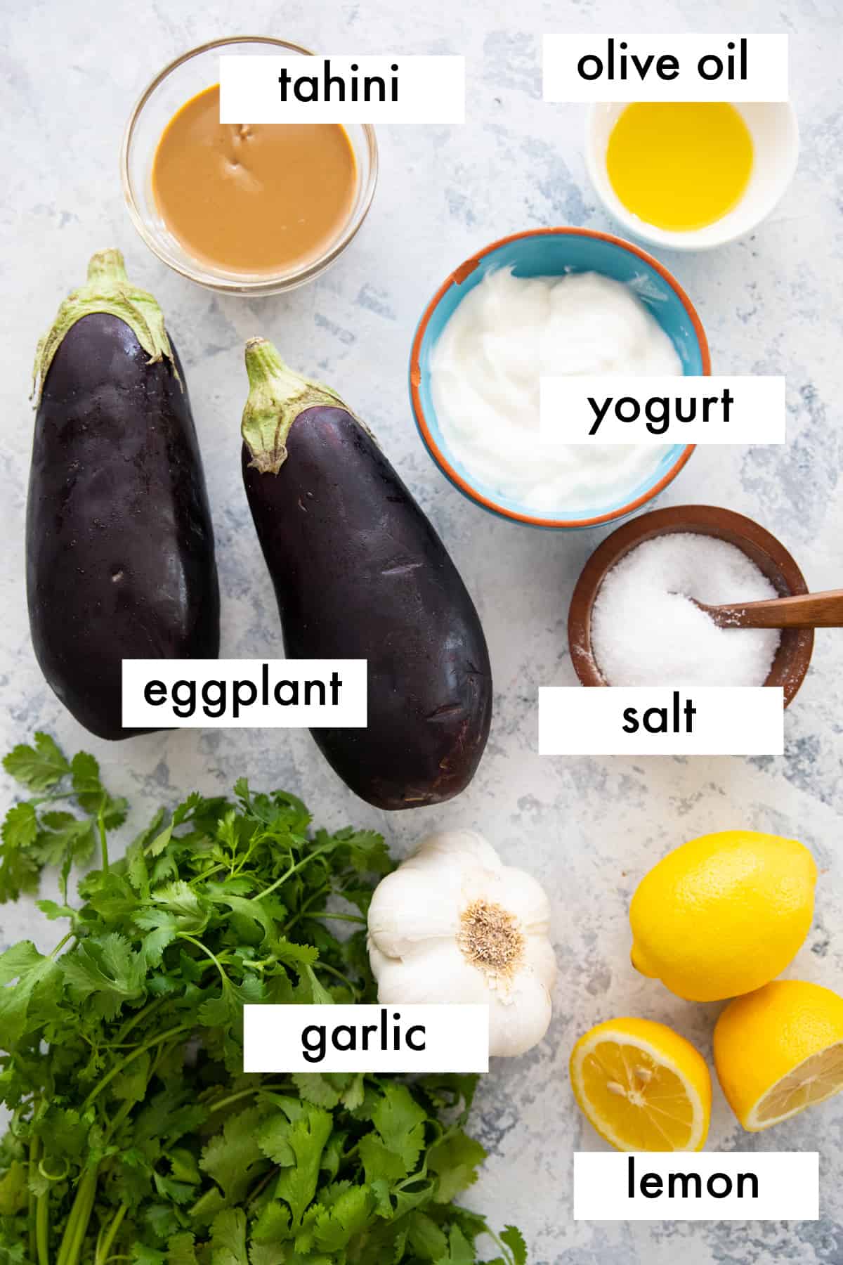 ingredient shot for mutabal with eggplant, garlic, lemon juice, tahini, yogurt, salt and pepper. 