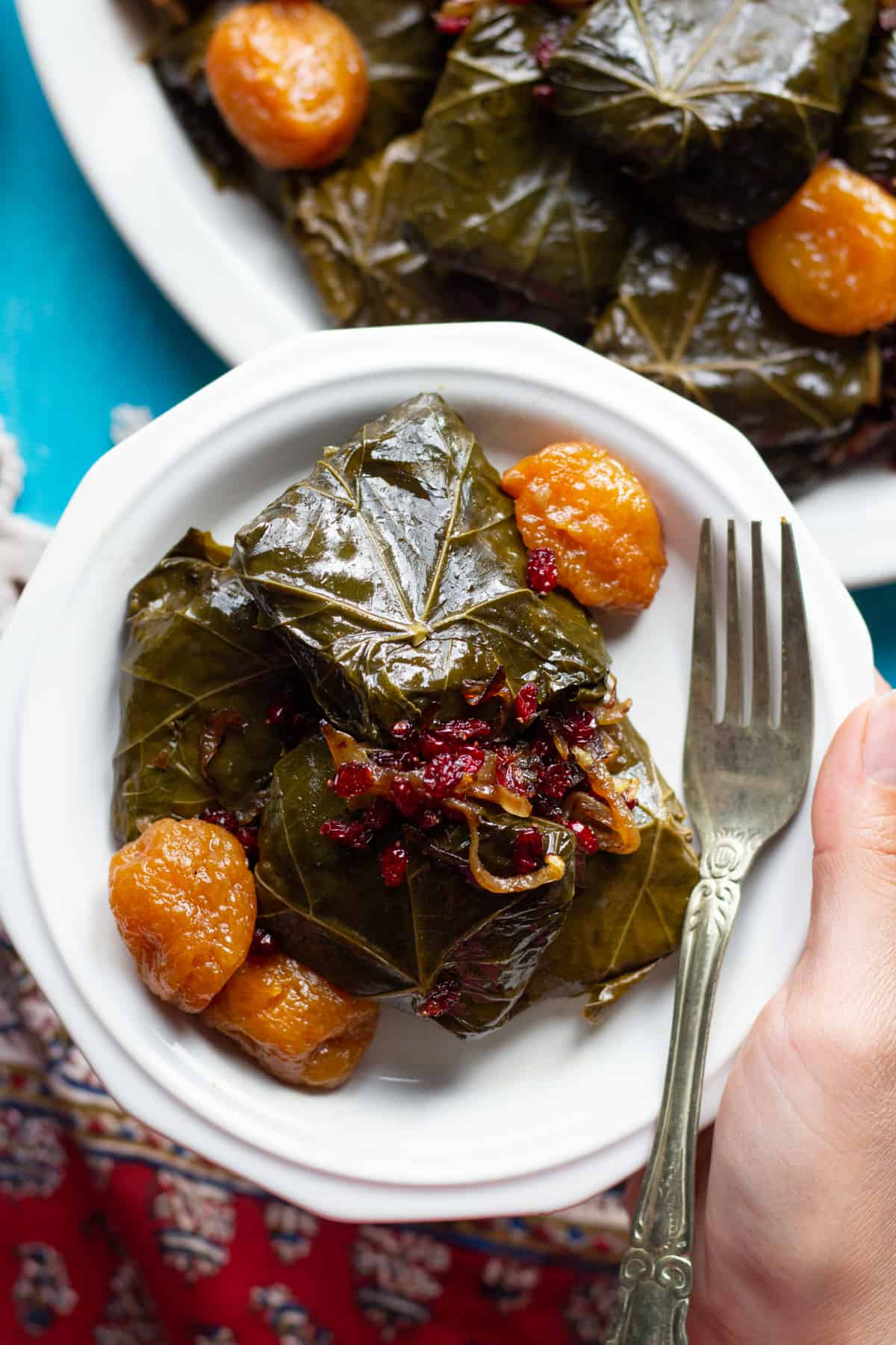 a plate of Persian stuffed vine leaves with onion, barberries and plums. 