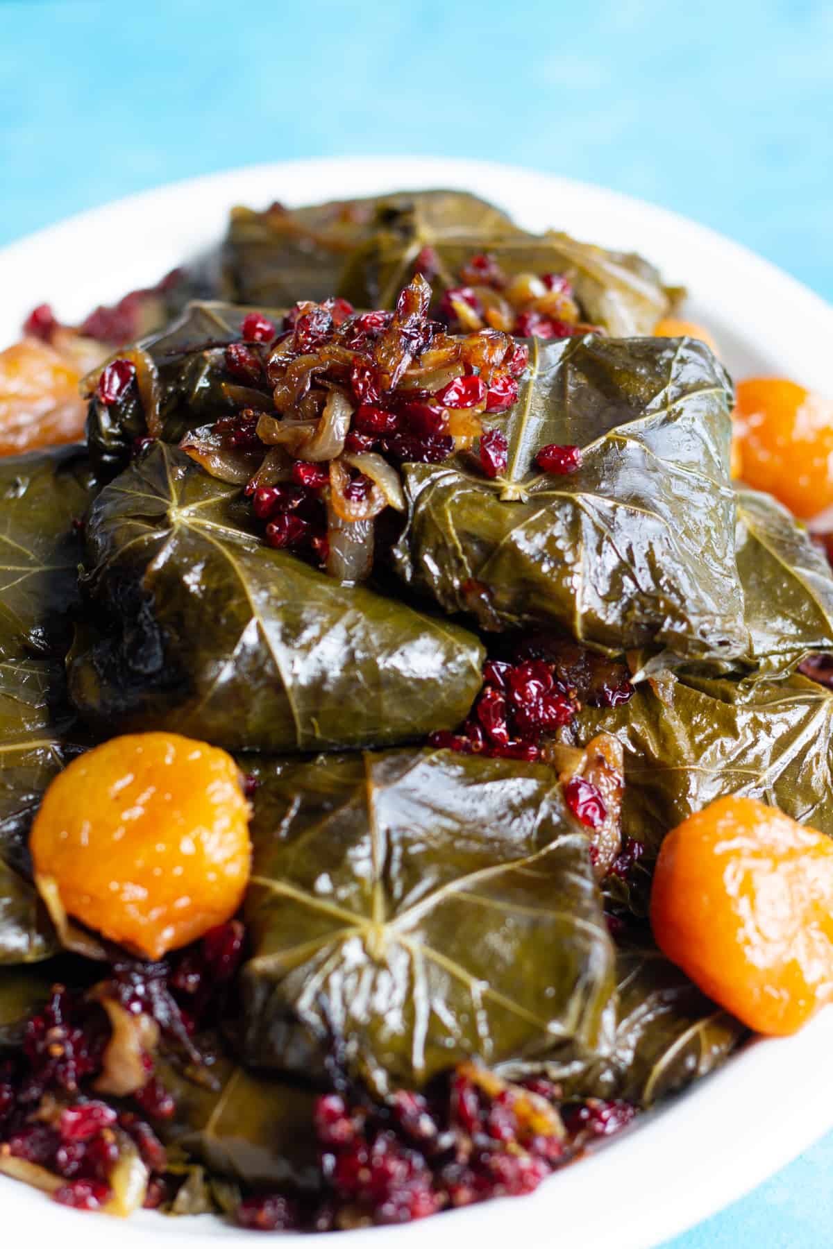 Front shot of dolmeh Persian stuffed grape leaves. 