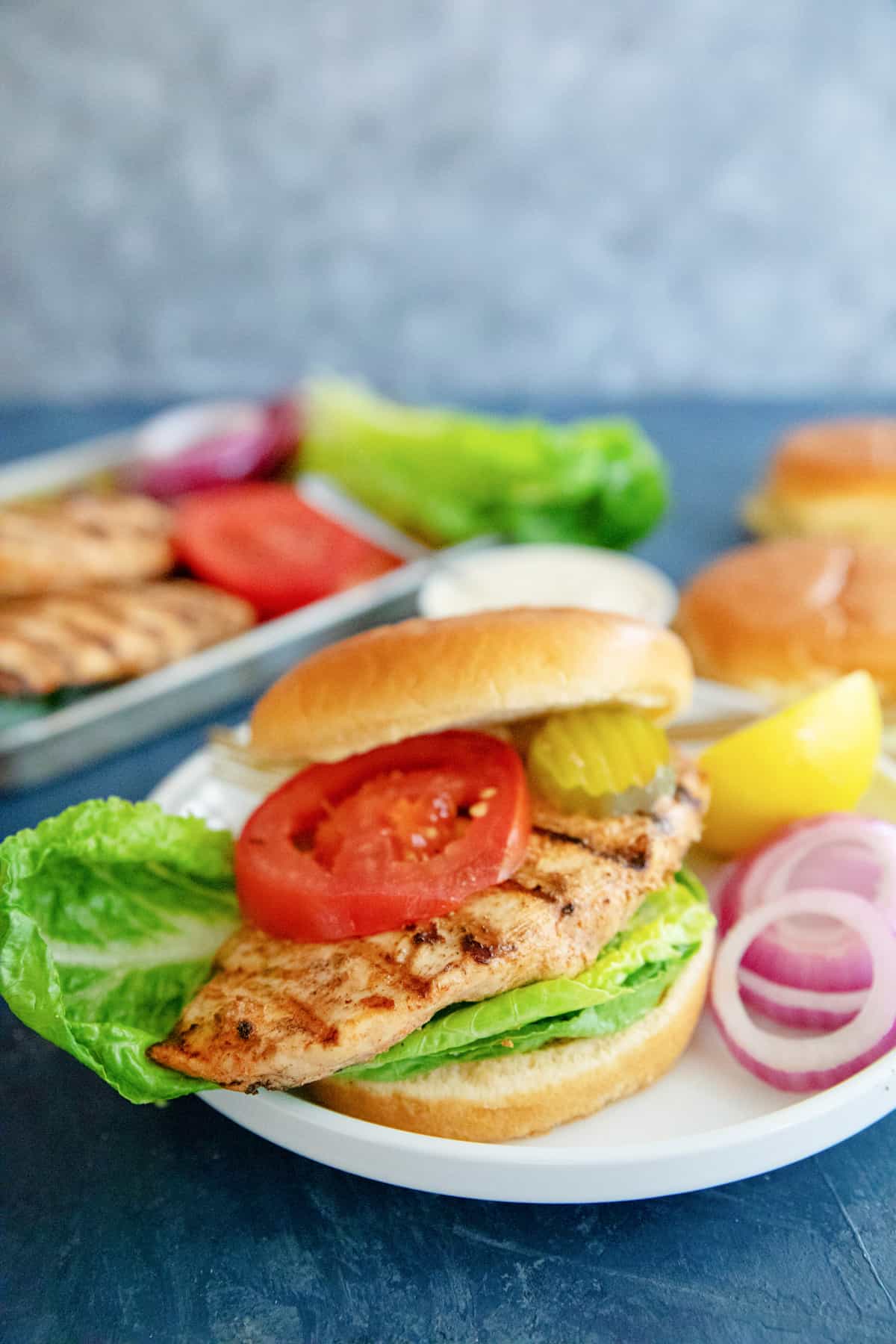 grilled chicken sandwich on a white plate. 