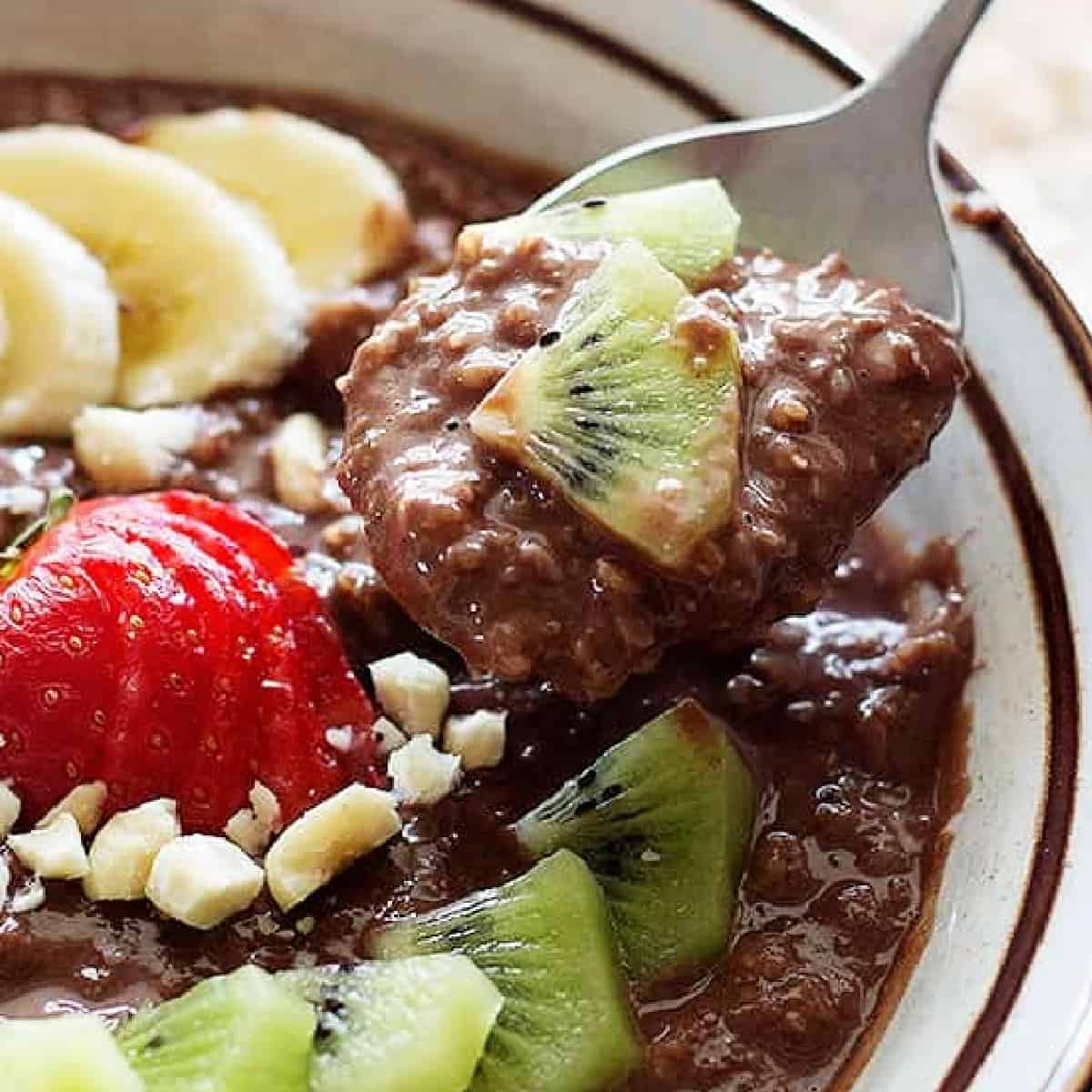 This Nutella Cocoa Oatmeal Bowl is perfect for breakfast, or any time that you crave something sweet and easy! Make it even better by adding some cocoa powder!
