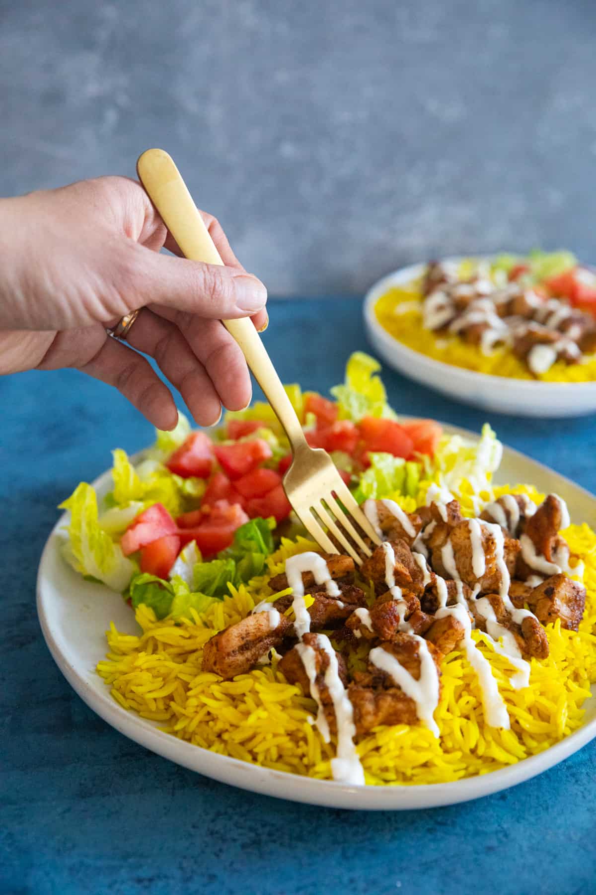 Front shot of nyc halal cart chicken and rice. 