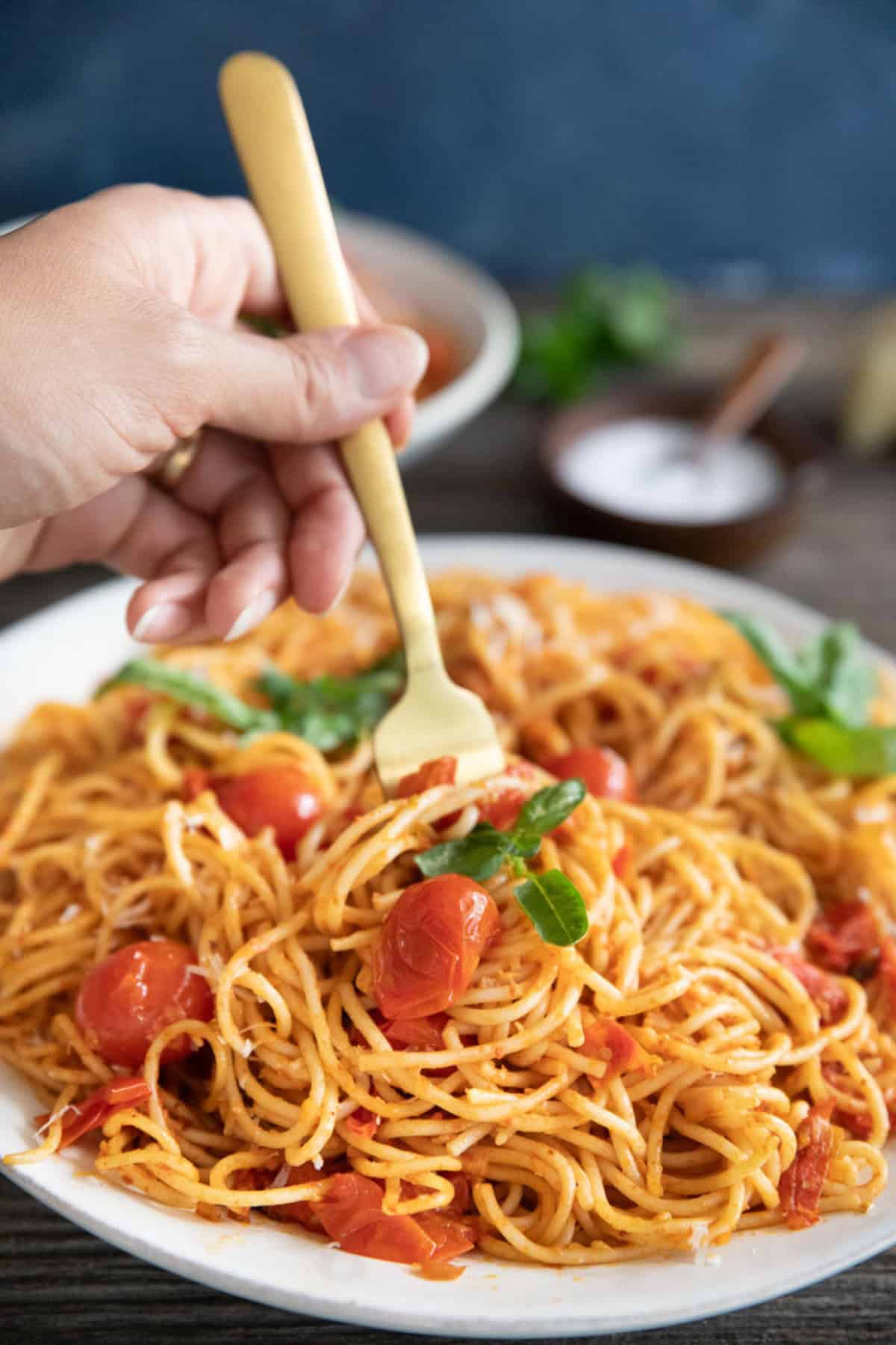 Front shot of pasta with cherry tomatoes with a fork. 