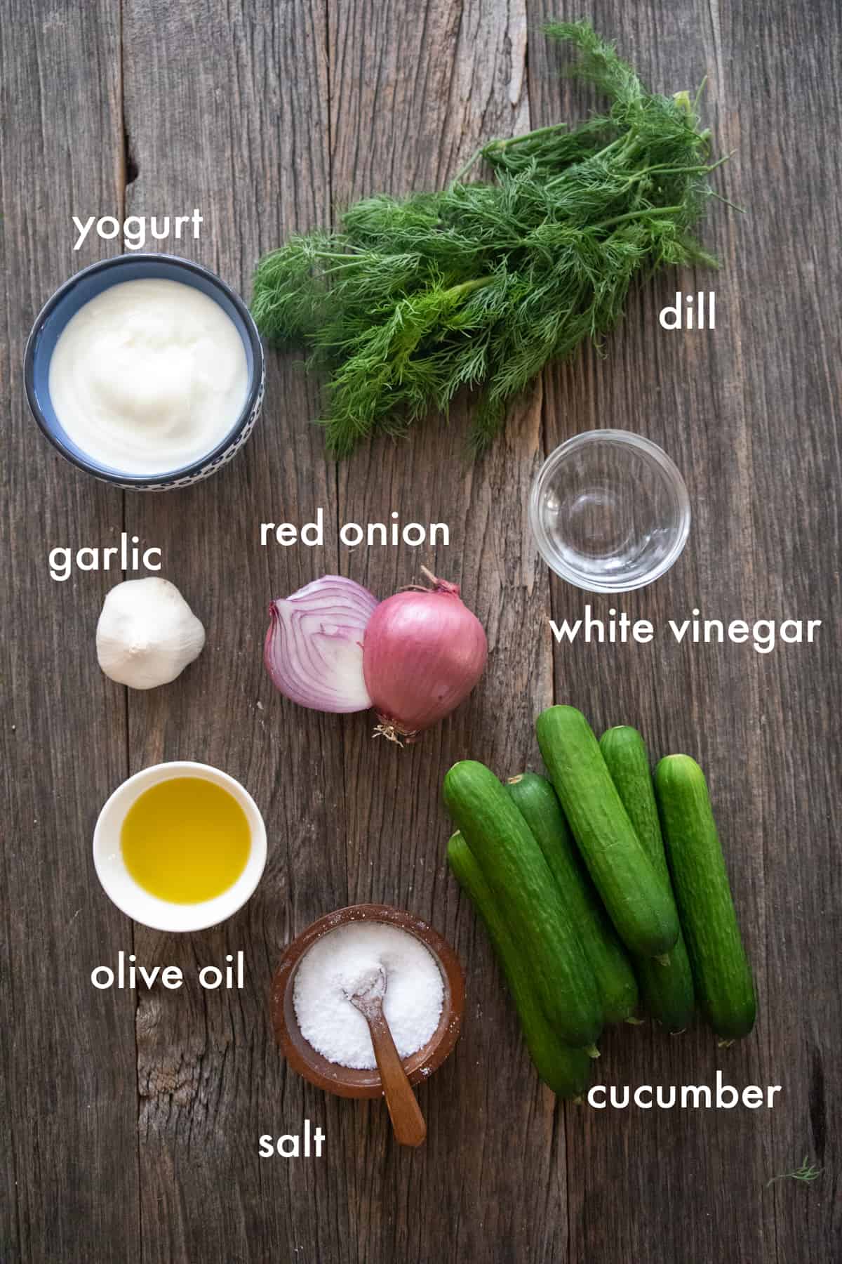 Ingredients to make Turkish creamy cucumber salad are cucumber, red onion, yogurt, dill, garlic, olive oil, mint and vinegar. 