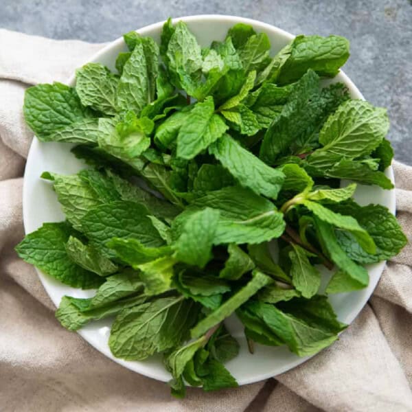 Mint and its uses.