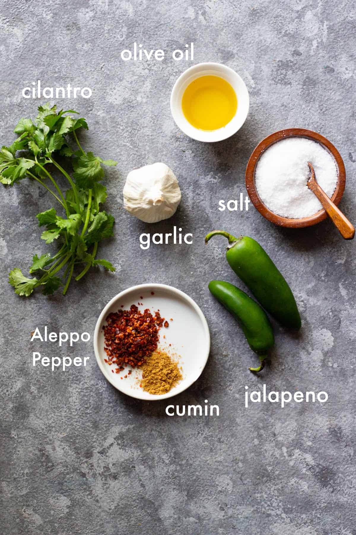 To make zhoug you need cilantro, jalapeno, garlic, olive oil, spices and salt.