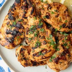 Middle Eastern-inspired grilled chicken breast served on a white platter