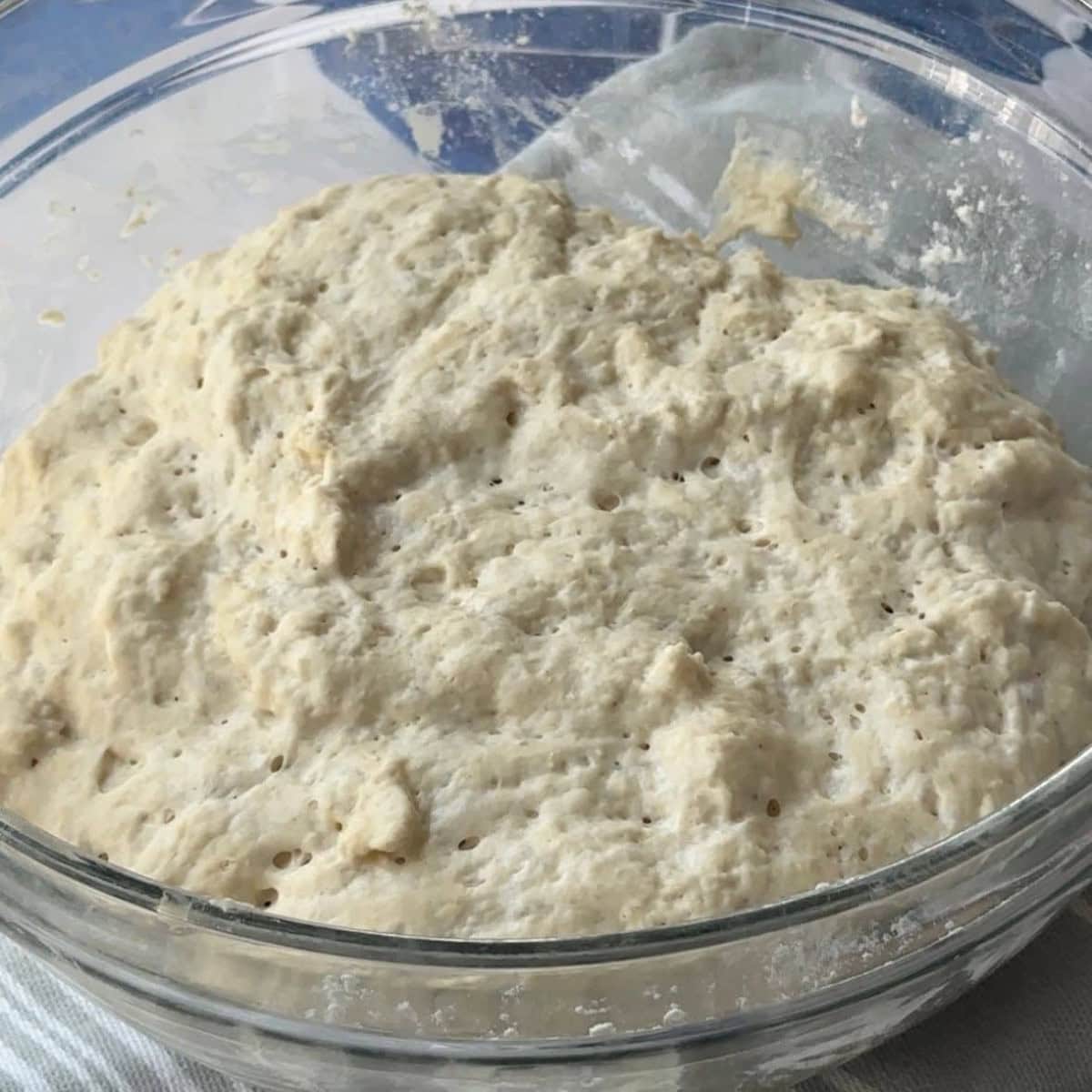 ciabatta dough placed in a glass bowl
