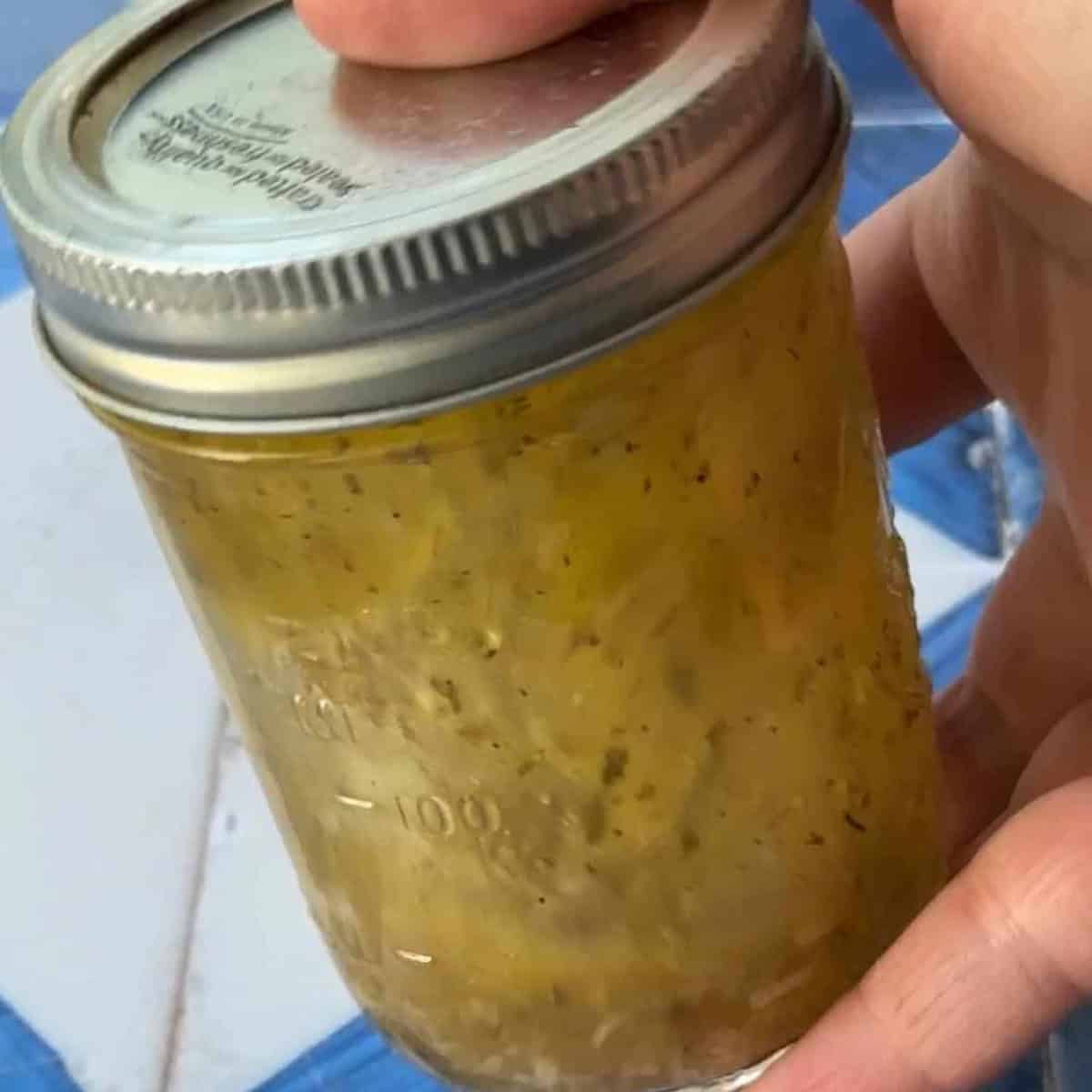How to Make Greek Vinaigrette Dressing shake, whisk, or blend the Greek dressing