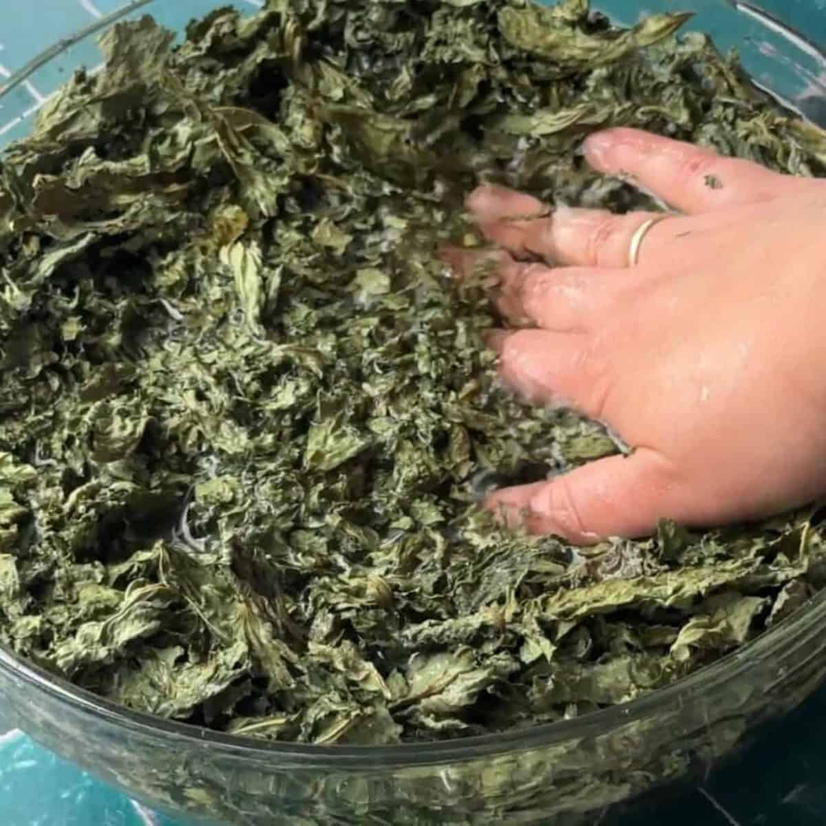 How to Make Mloukhieh soak molokhiya 20 minutes