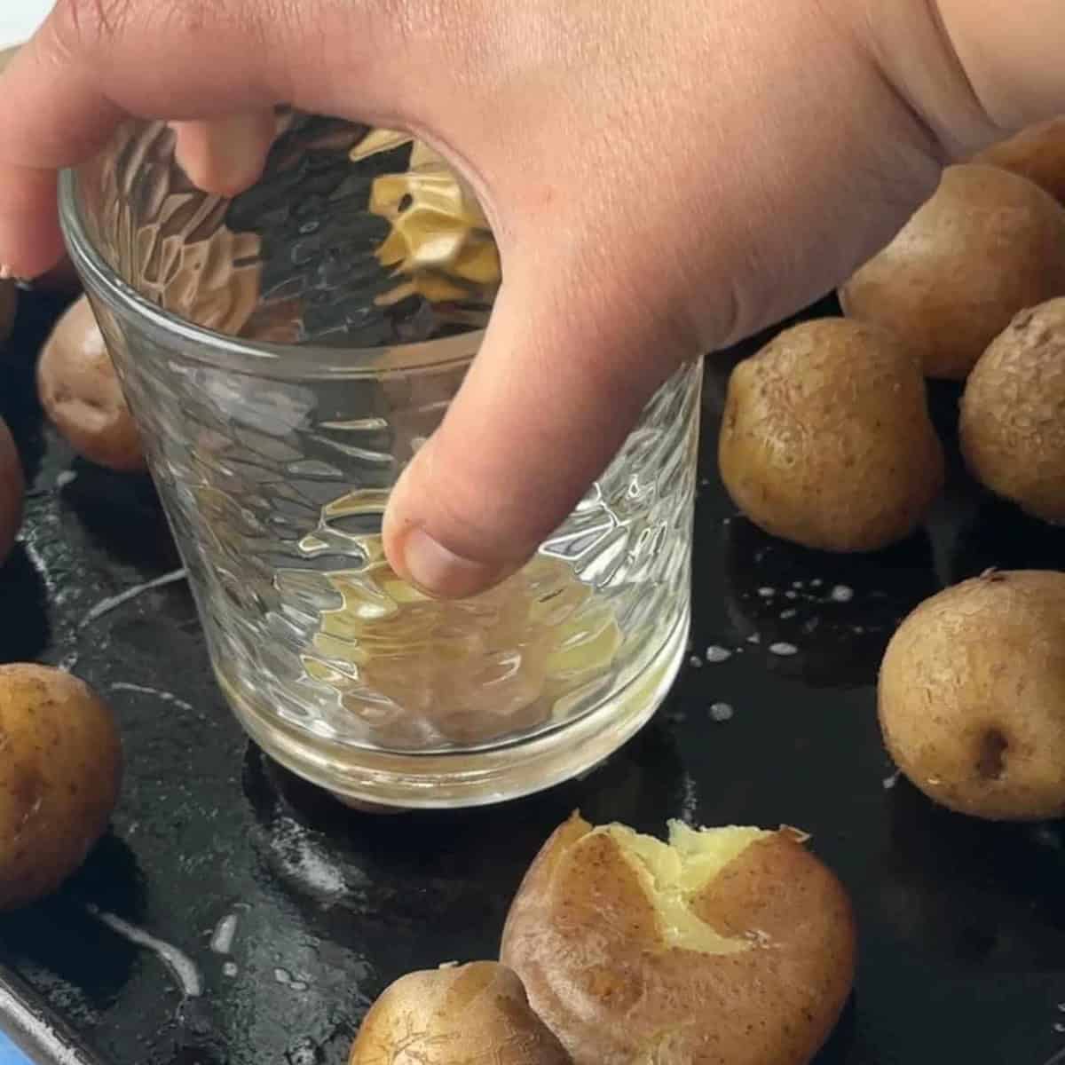 boiled potatoes placed on a baking tray smashed with a glass cup