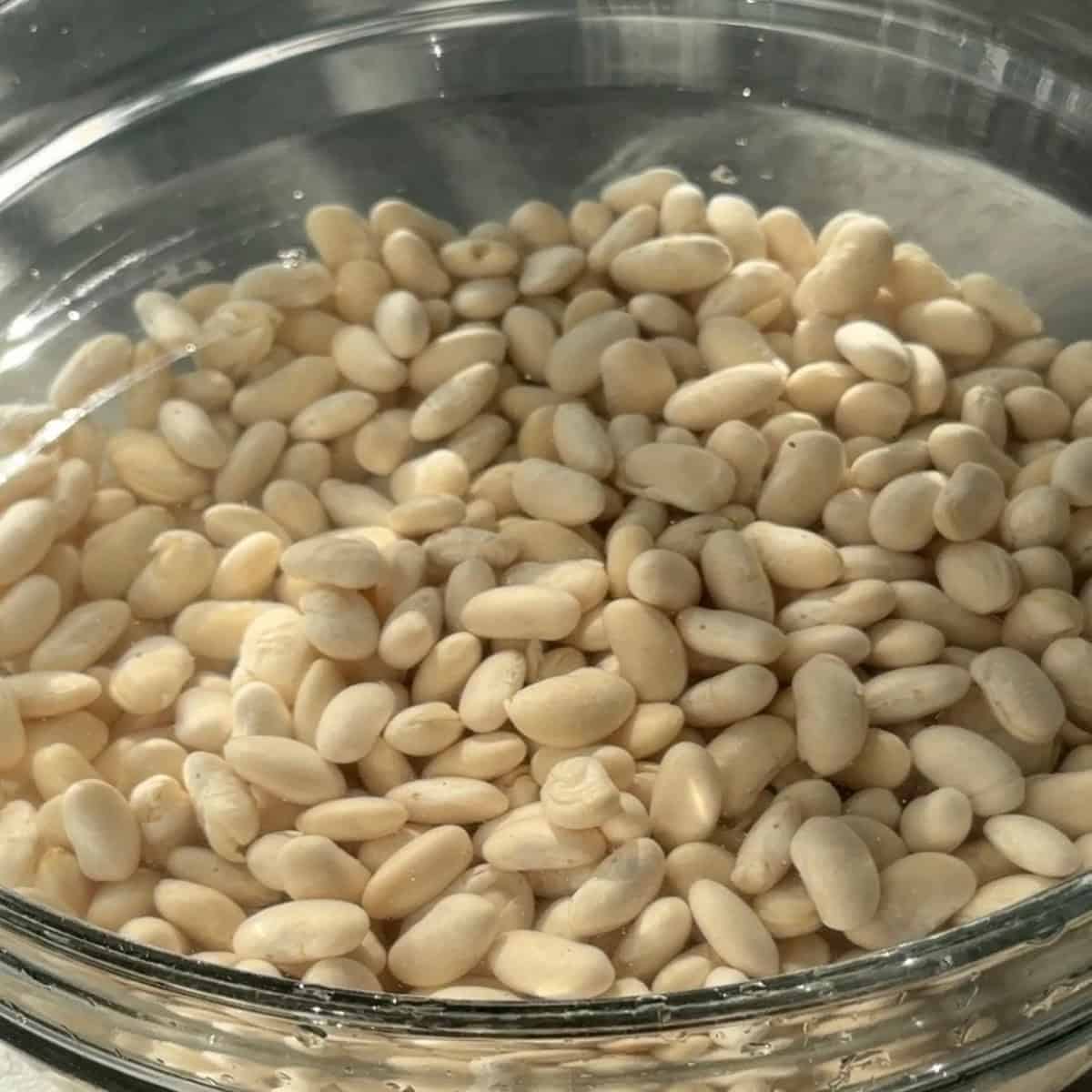 Kuru Fasulye White Bean Stew soak beans overnight until they expand