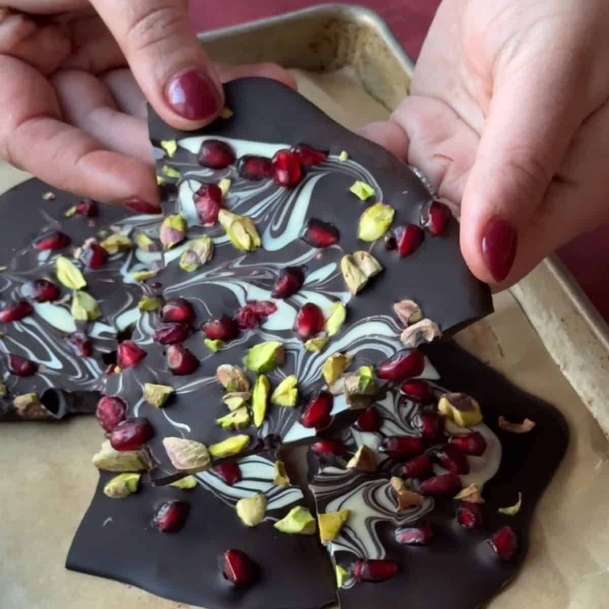 A hand holding a big piece of of a chocolate bark topped with pomegranate and pistachios.