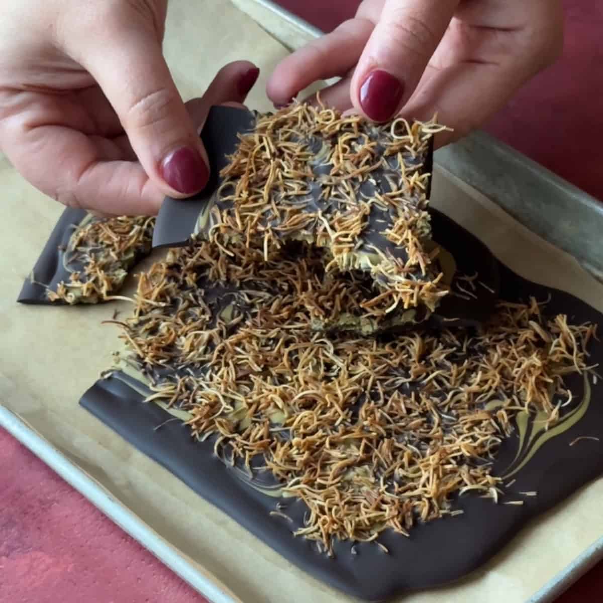 Chocolate bark with pistachio cream and kataifi.
