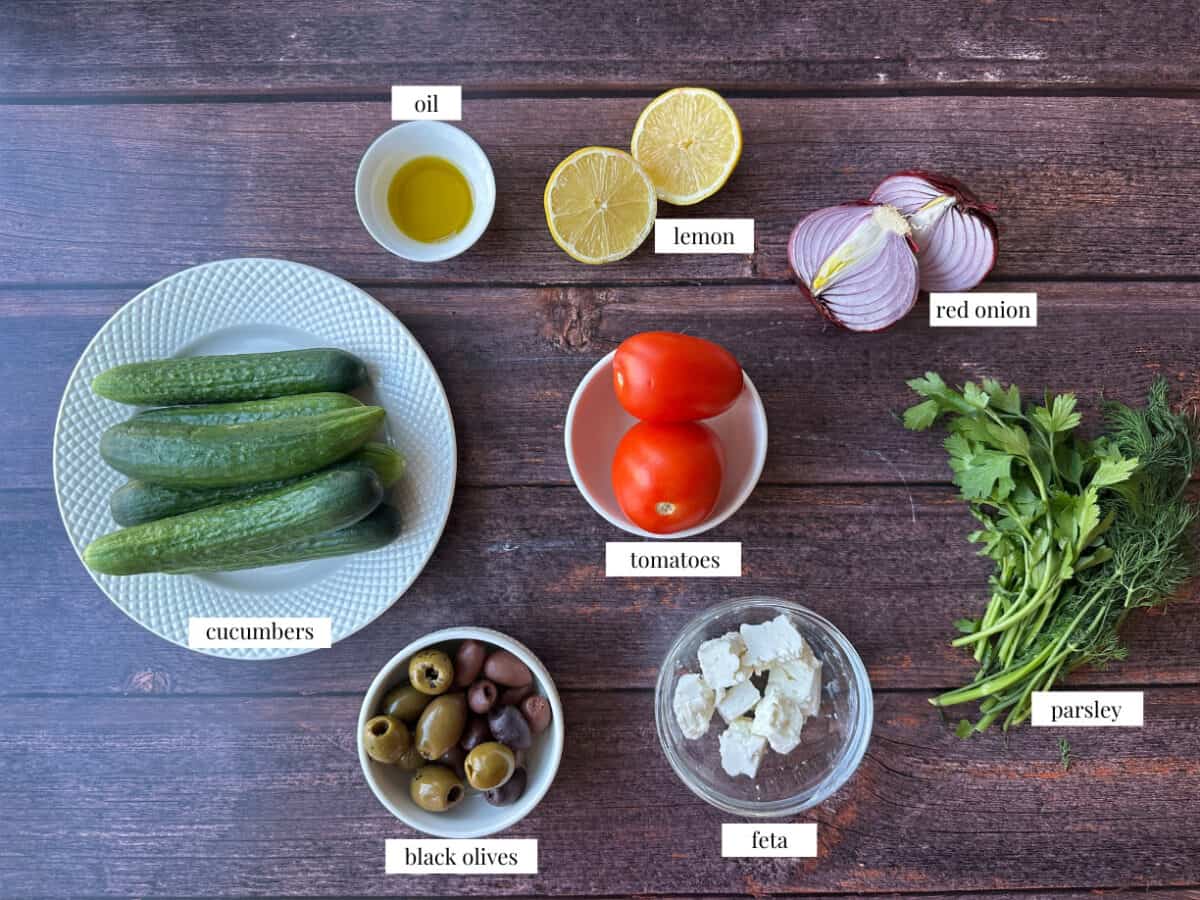 Mediterranean Cucumber Salad Ingredients Mediterranean Cucumber Salad ingredients: Persian cucumbers, roma tomatoes, red onion, parsley and dill, olive oil, olives, feta, and lemon