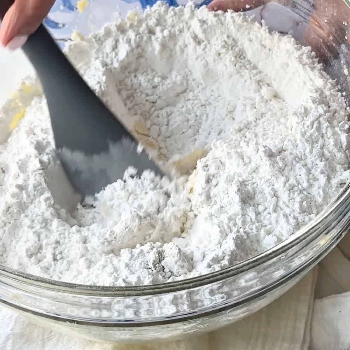 mix the ingredients with a spatula until the dough comes together