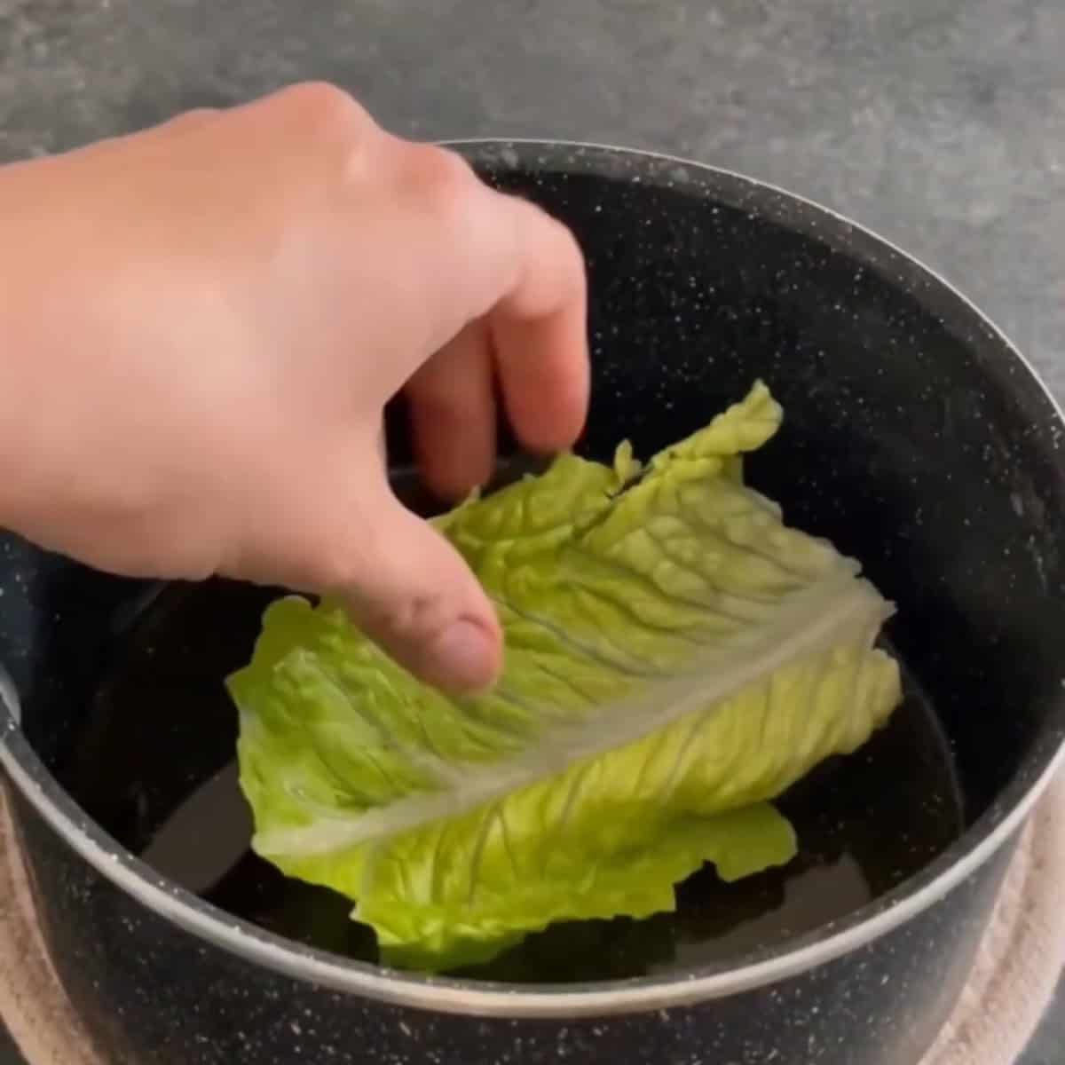 Arrange the lettuce leaves in the pot.